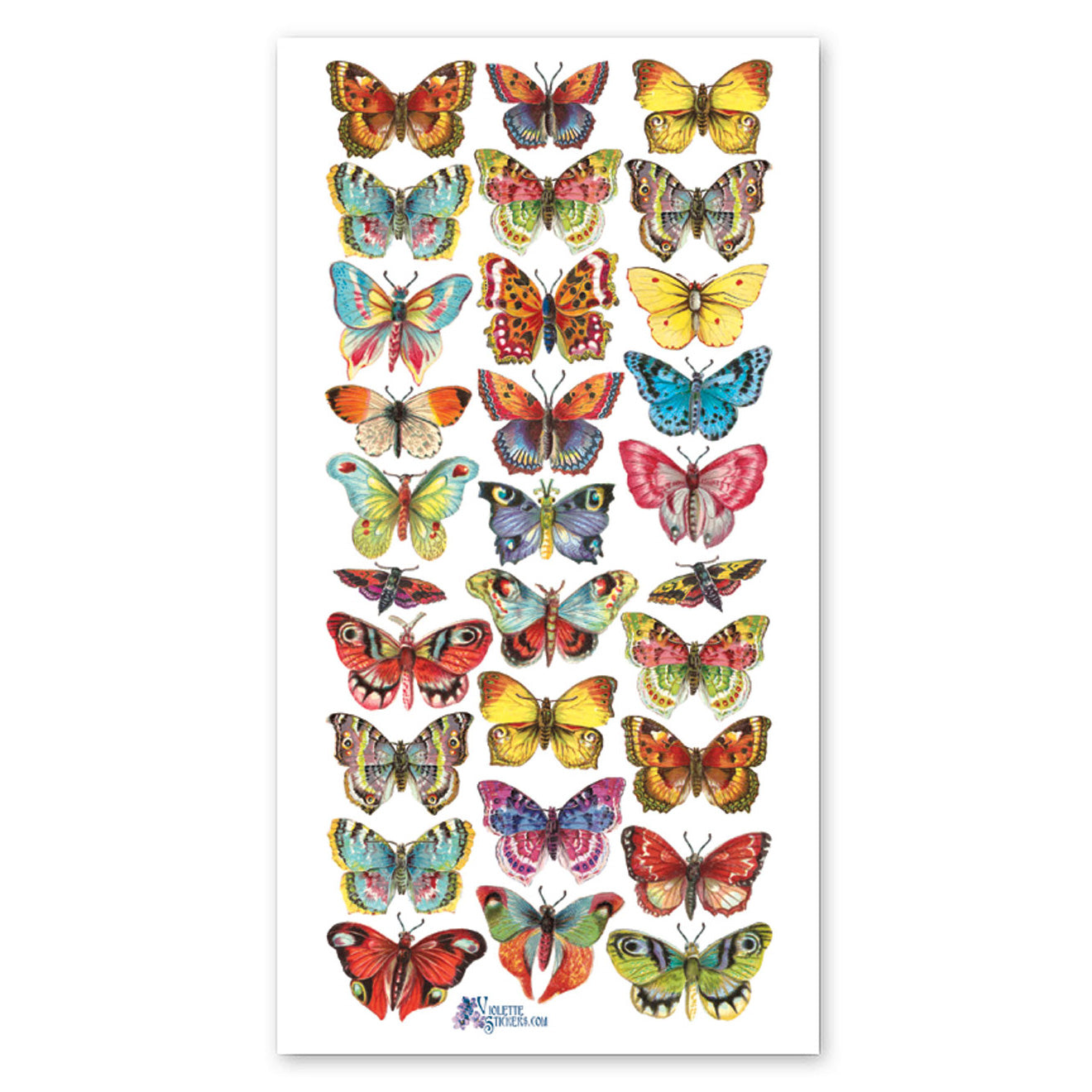 Tropical Butterflies Stickers、mySite、ghnorth