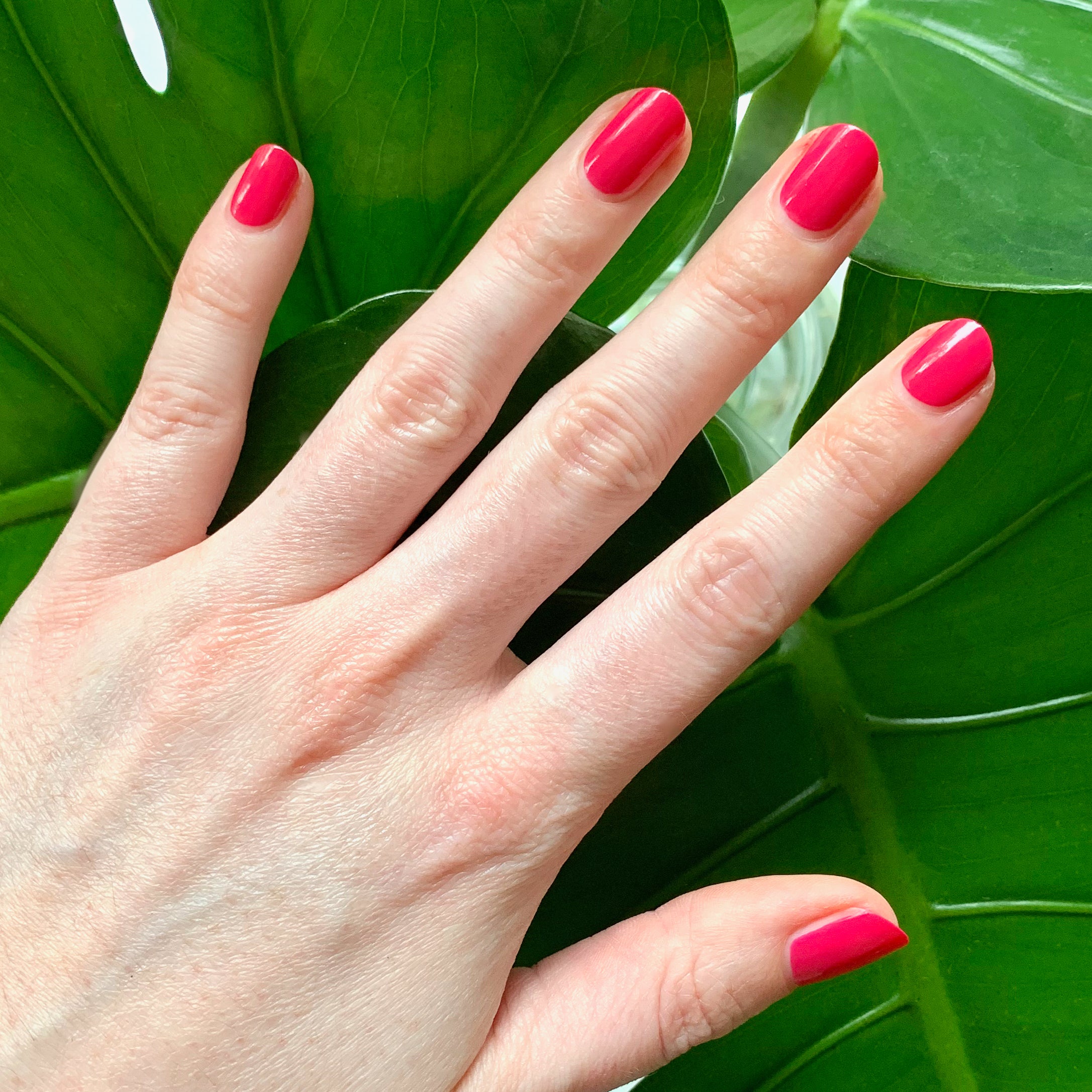 XOXO、mySite、solidvoid