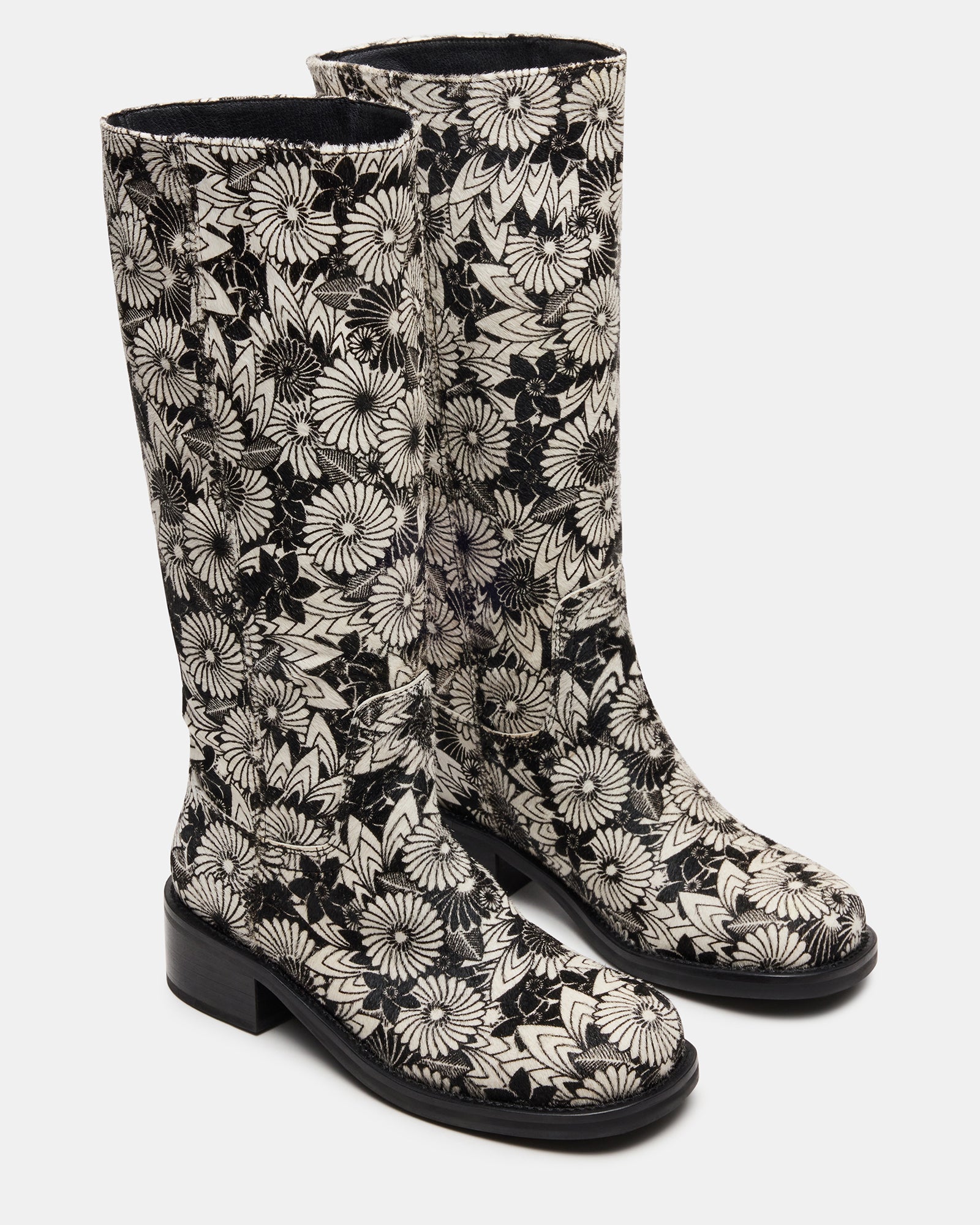 RIGGS BLACK MULTI、mySite、gtrtttuynbv