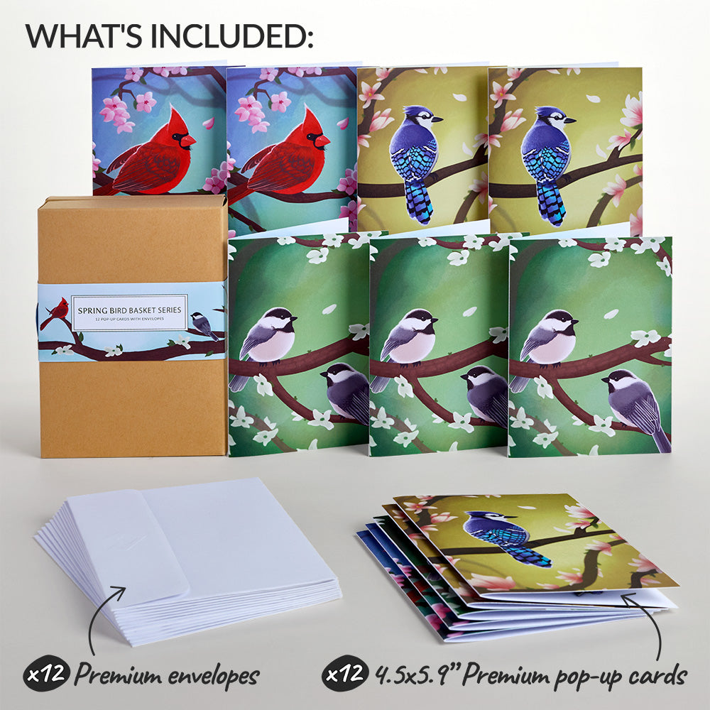 Spring Birds Box Set (Assorted 12-Pack): Paperpop® Card、mySite、solidvoid