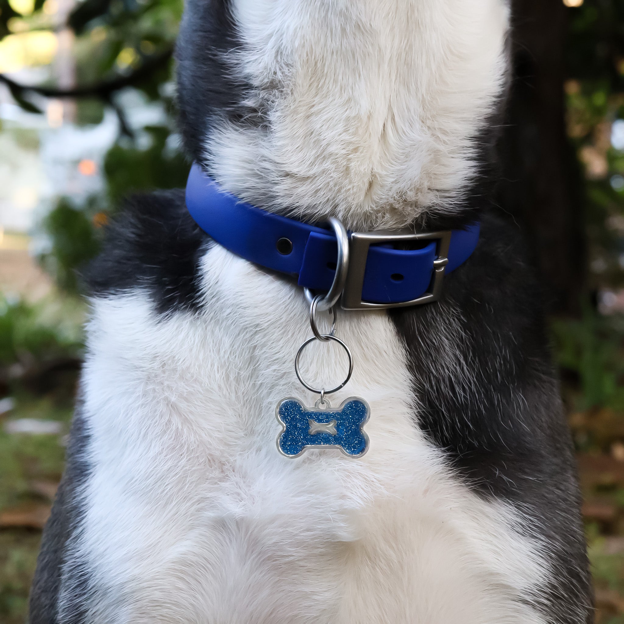 18K Gold PVD Stainless Steel Large Dog Bone Pet Tag With Glitter Epoxy / PDL0165、mySite、dreamappss