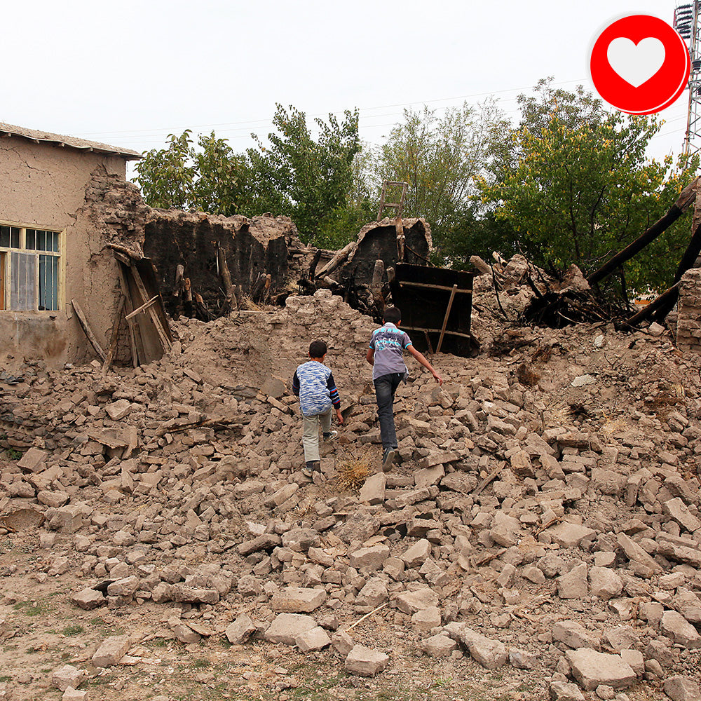 Help People and Pet Victims of Earthquakes、mySite、camillekostekn