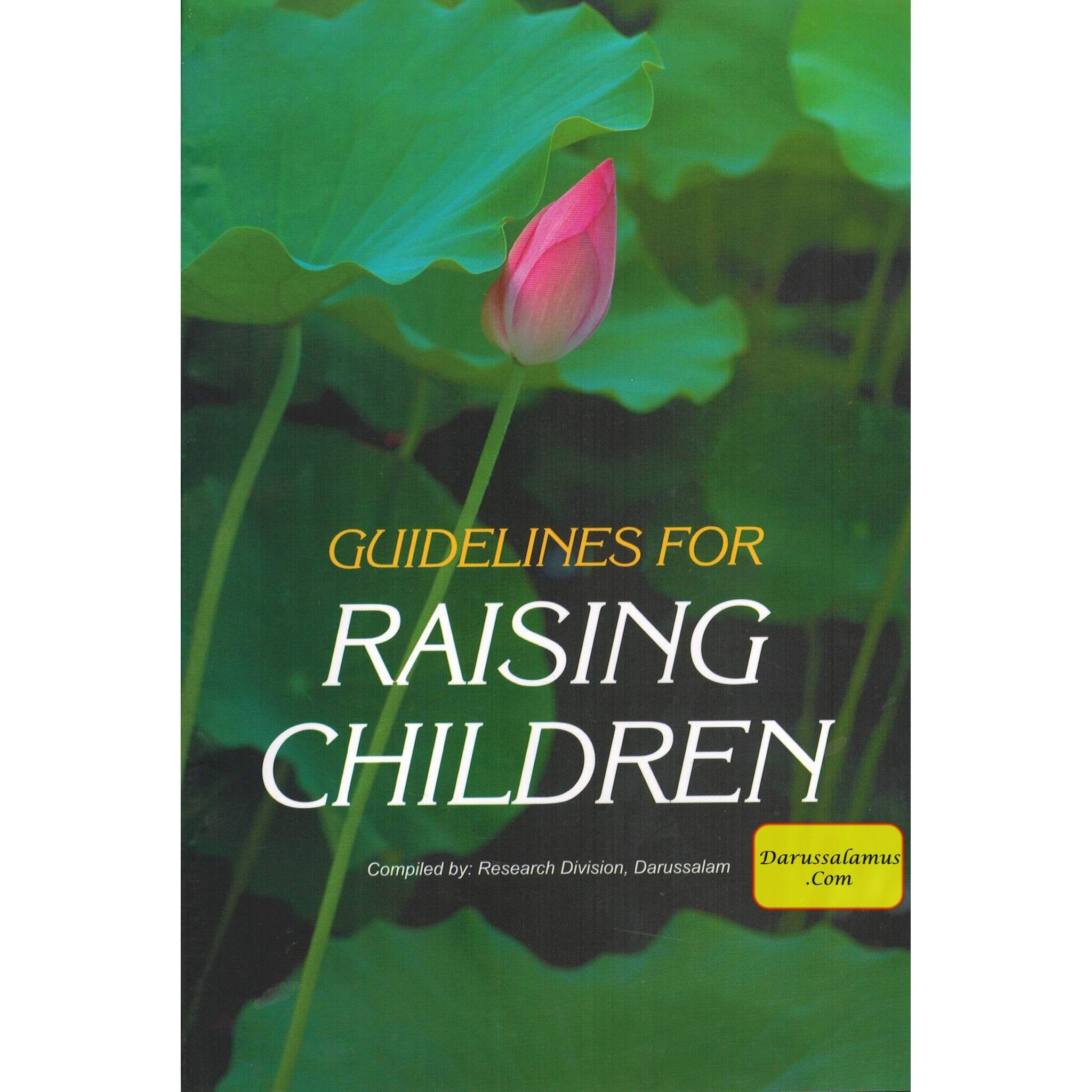 Guidelines for Raising Children、mySite、topwebapps