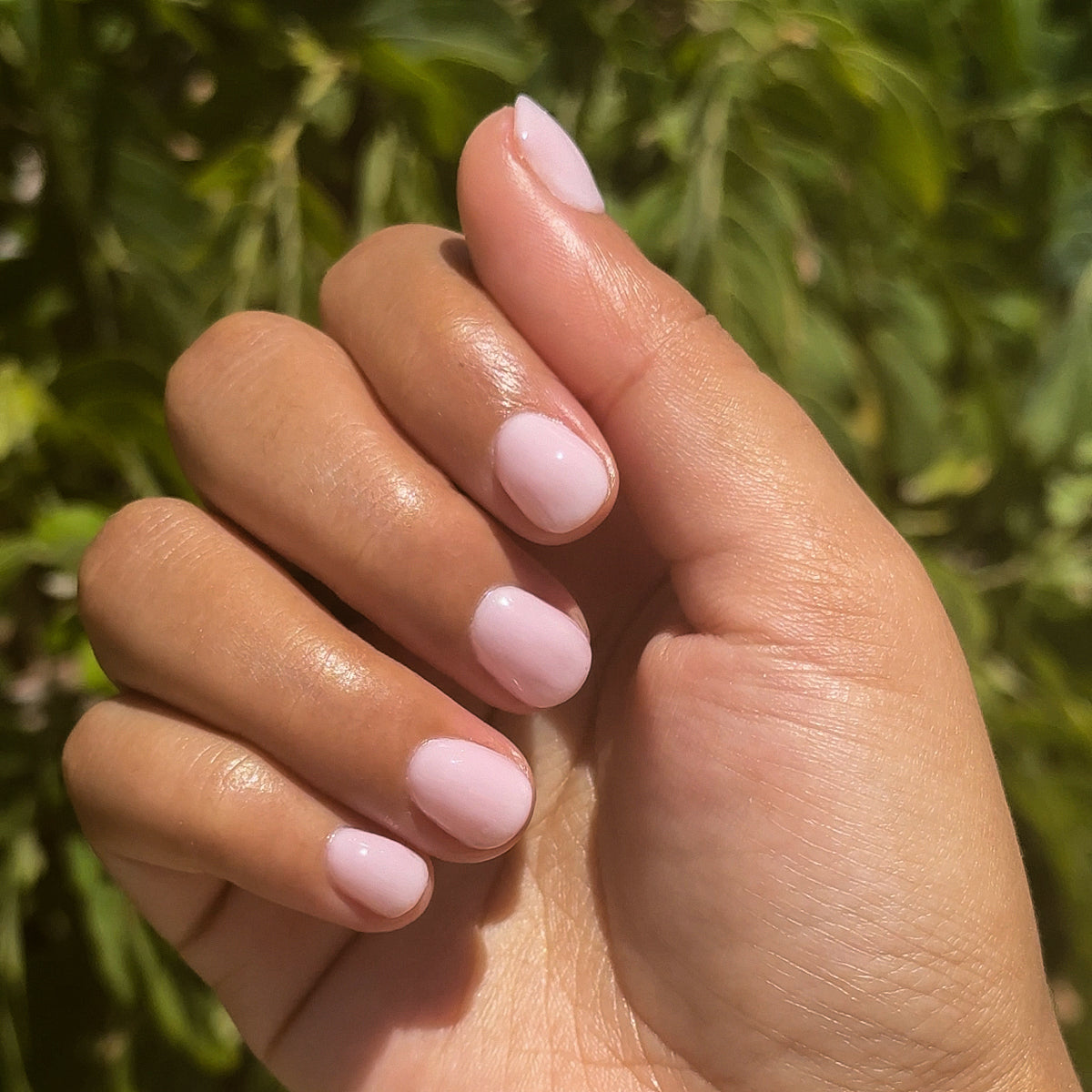 Glossed、mySite、solidvoid