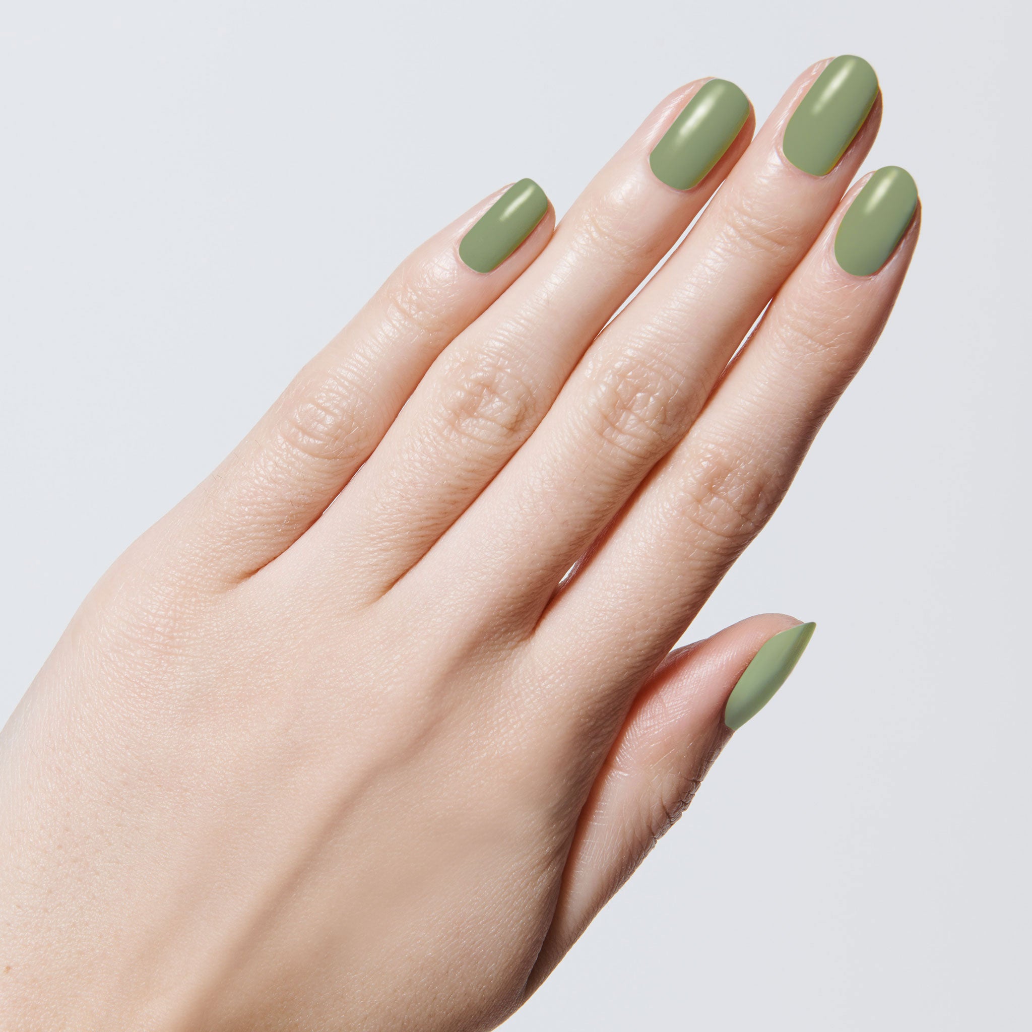 WKF - Part of Set、mySite、solidvoid