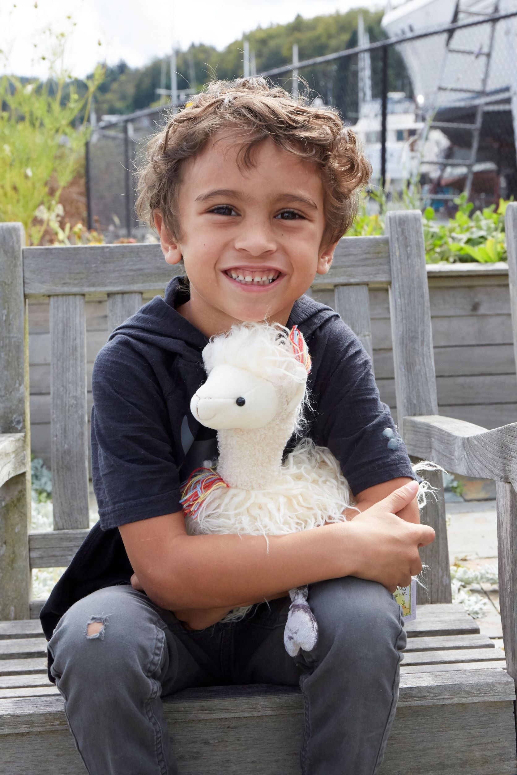 RETIRED - Dolly Llama、mySite、g9winljtr