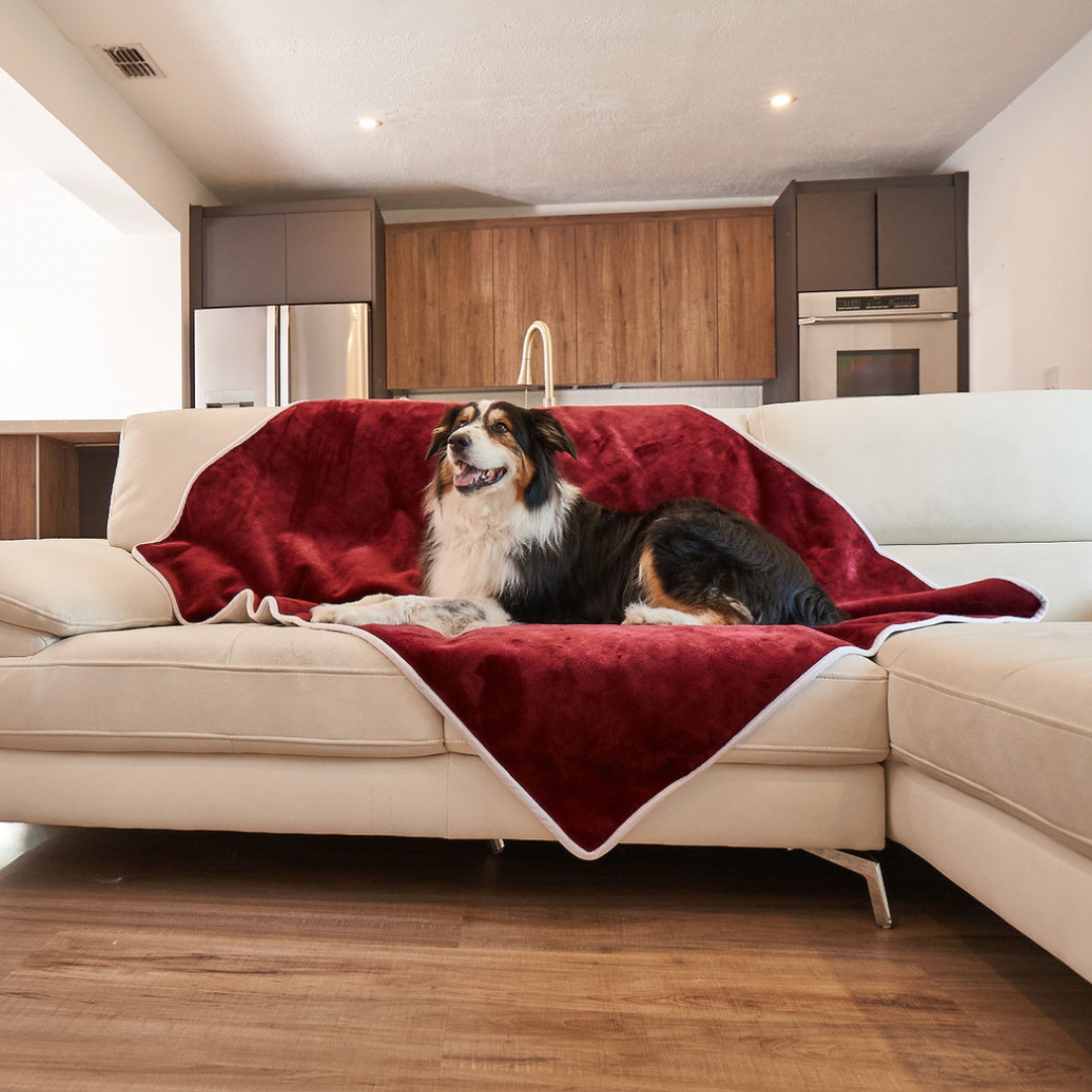 PupProtector™ Waterproof Throw Blanket - Red Velvet、mySite、solidvoid