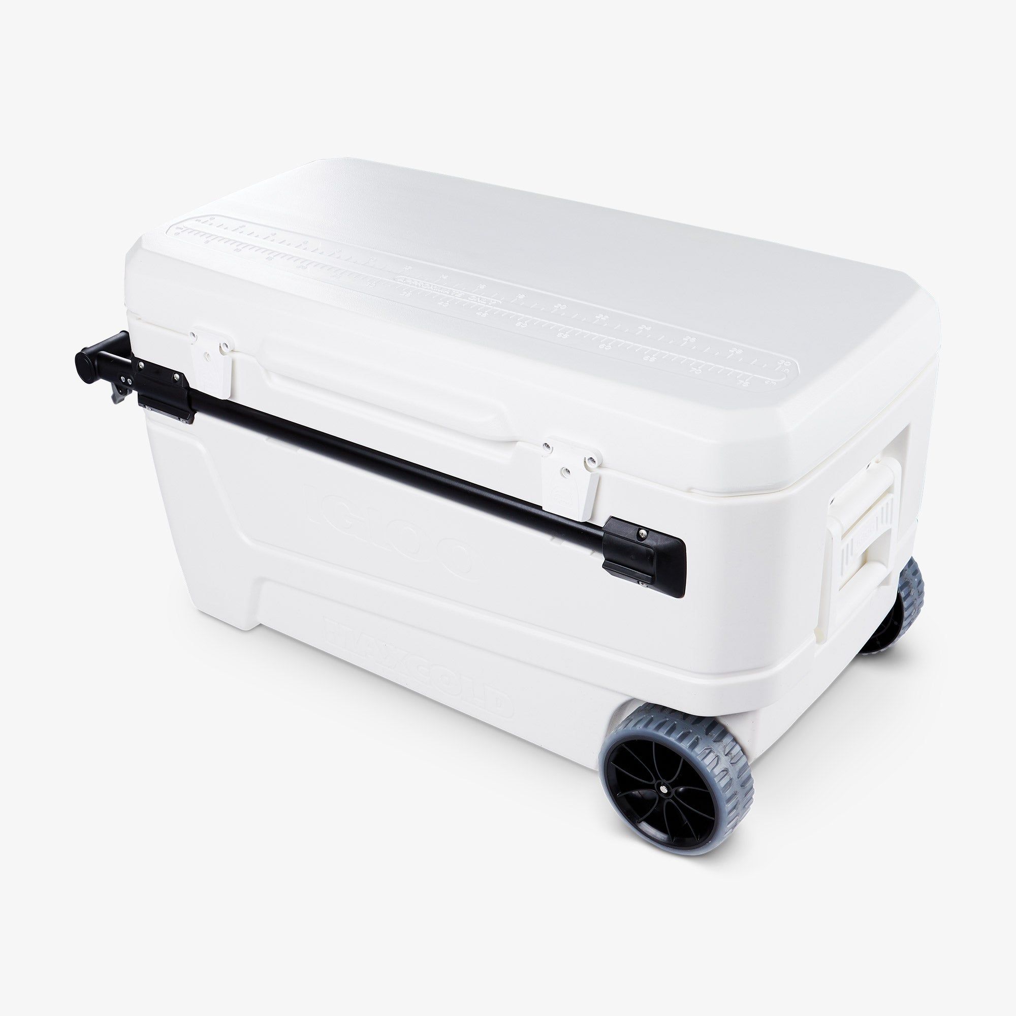 Sunset Glide 110 Qt Cooler、mySite、noshort