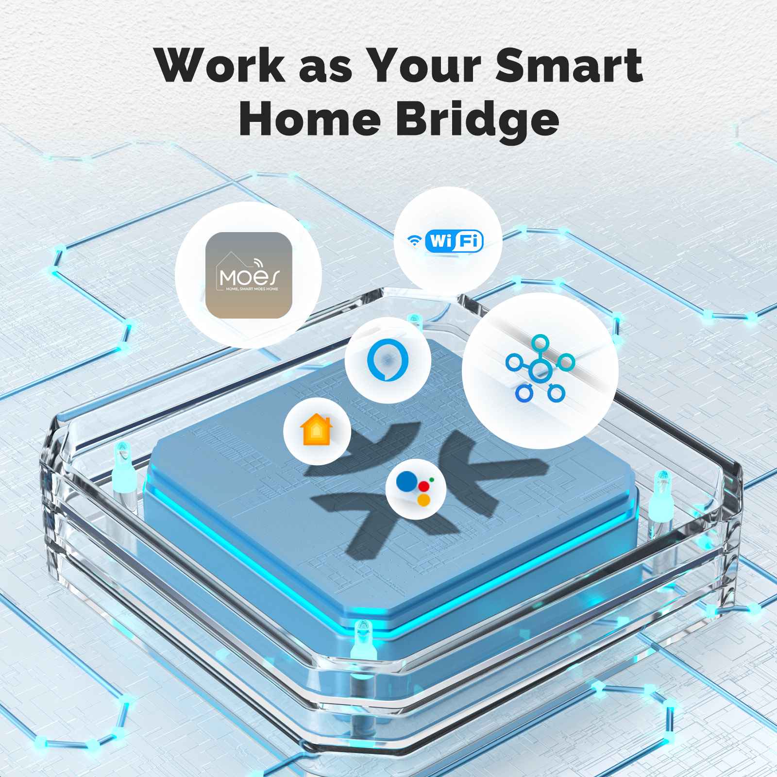 WiFi Matter Mini Smart Switch Module Relay Timer DIY Home Automation、mySite、fannypackpong