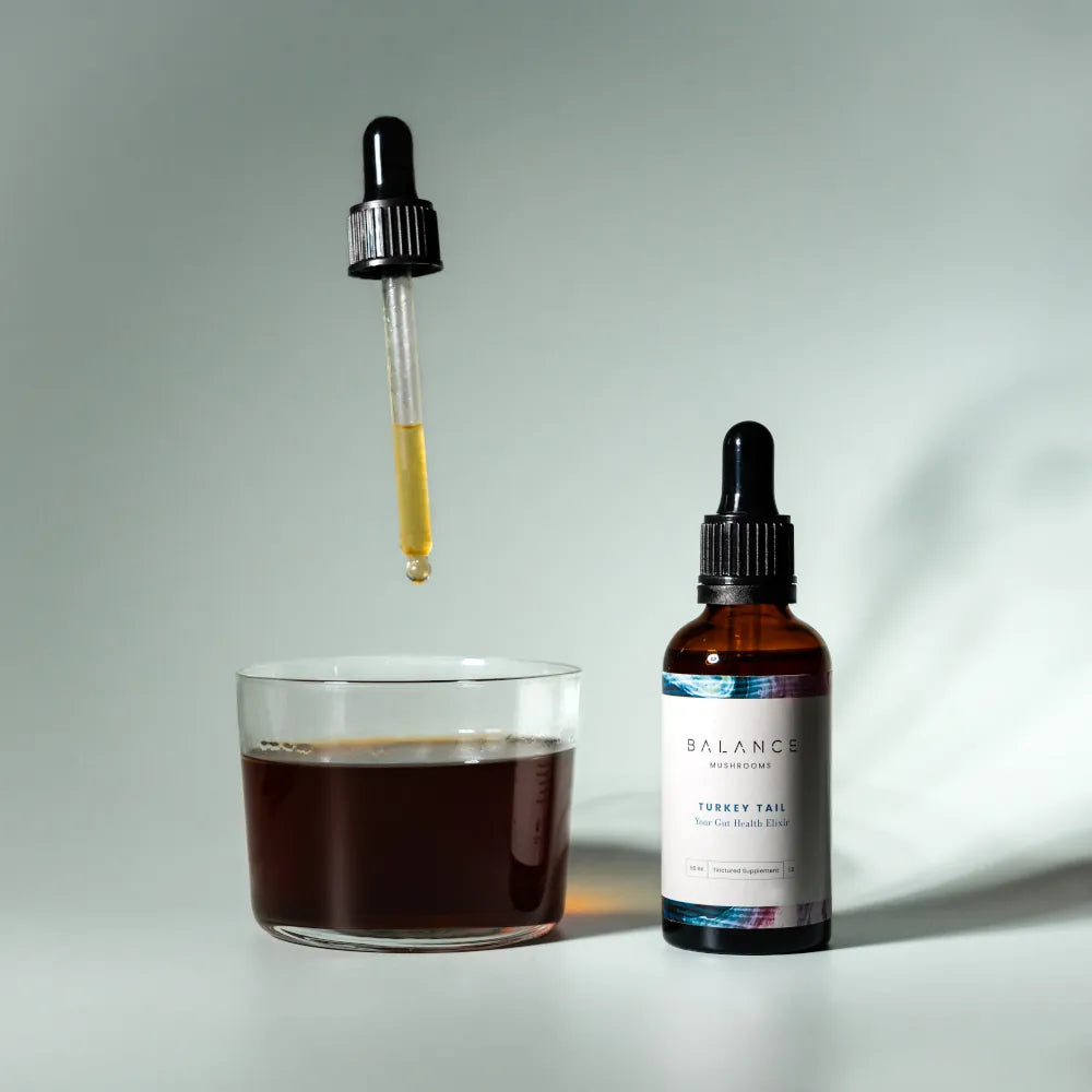 Turkey Tail、mySite、gigharbornorthrealestate