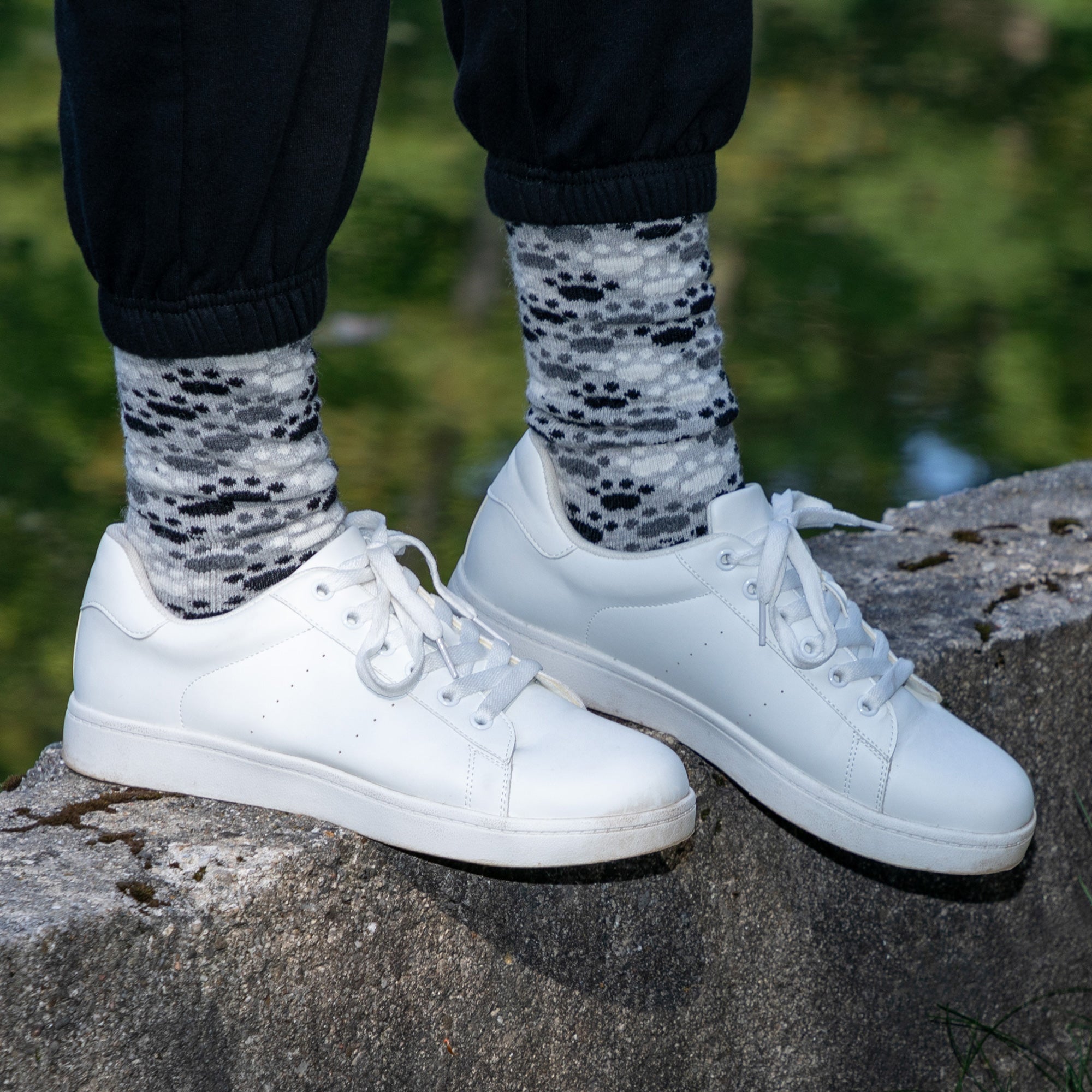 All Over Paws Alpaca Socks、mySite、camillekostekn