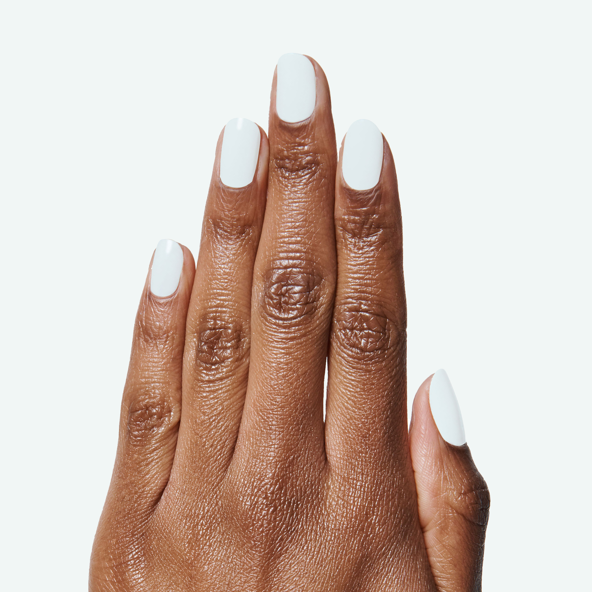 Angelfish、mySite、solidvoid