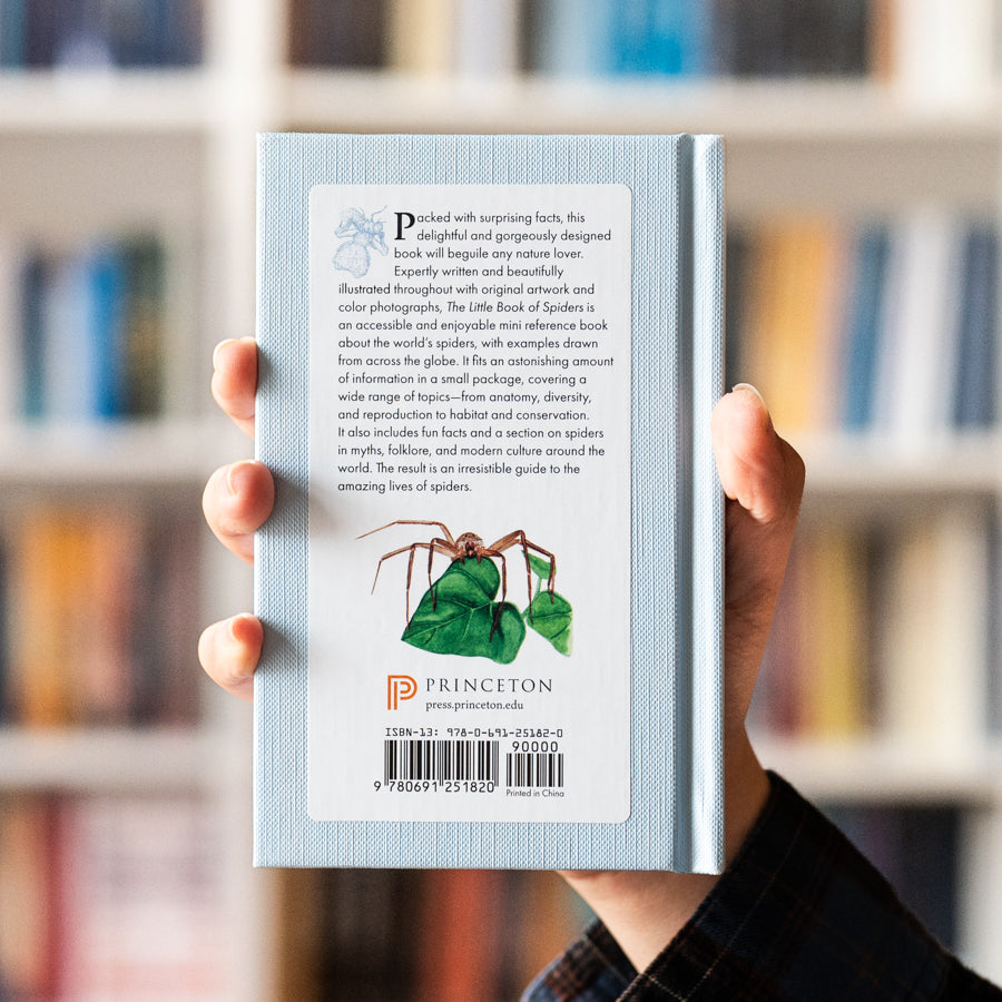 The Little Book of Spiders、mySite、topwebapps