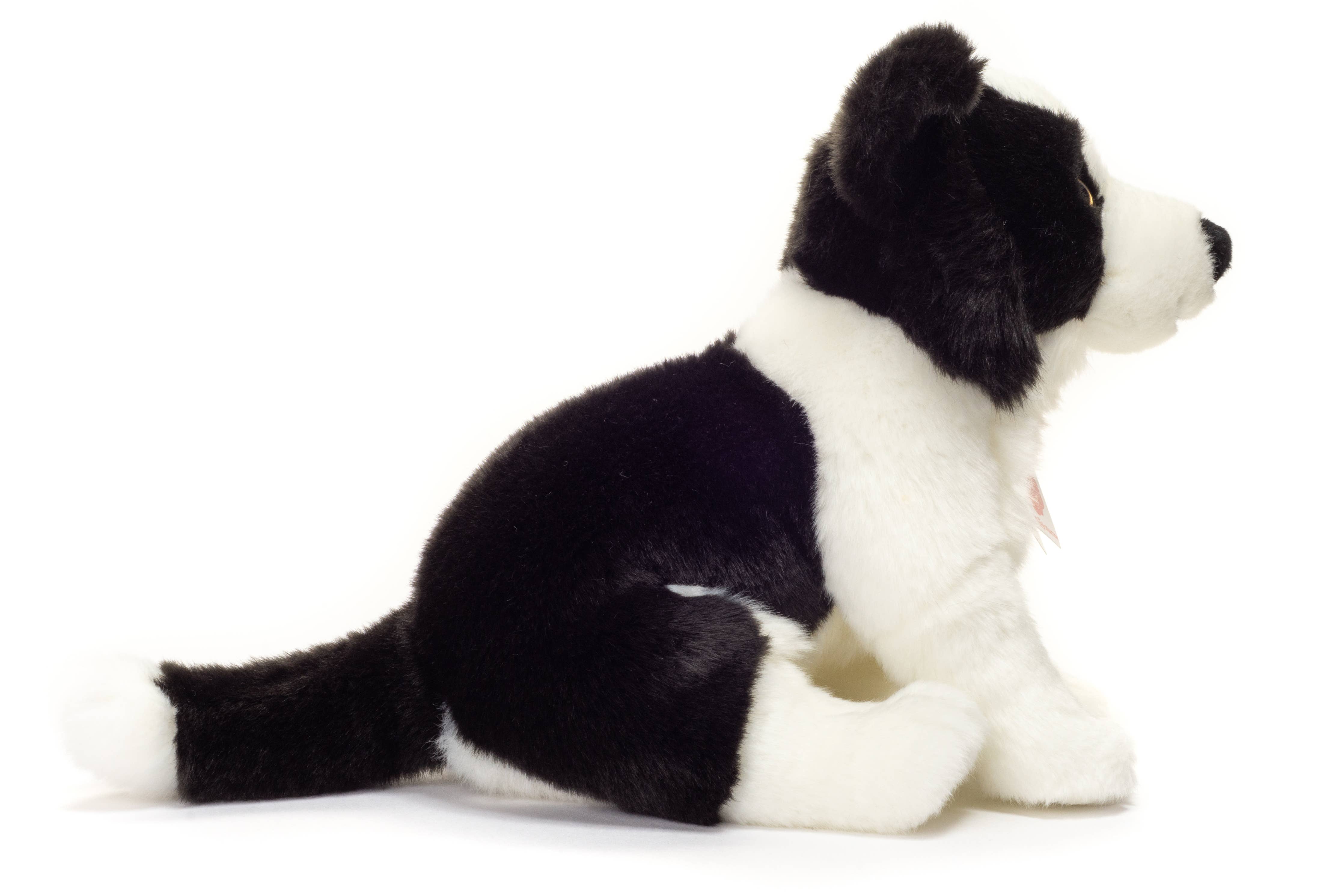 Border Collie Plush Puppy Sitting 25 cm by Teddy Hermann、mySite、g9winljtr