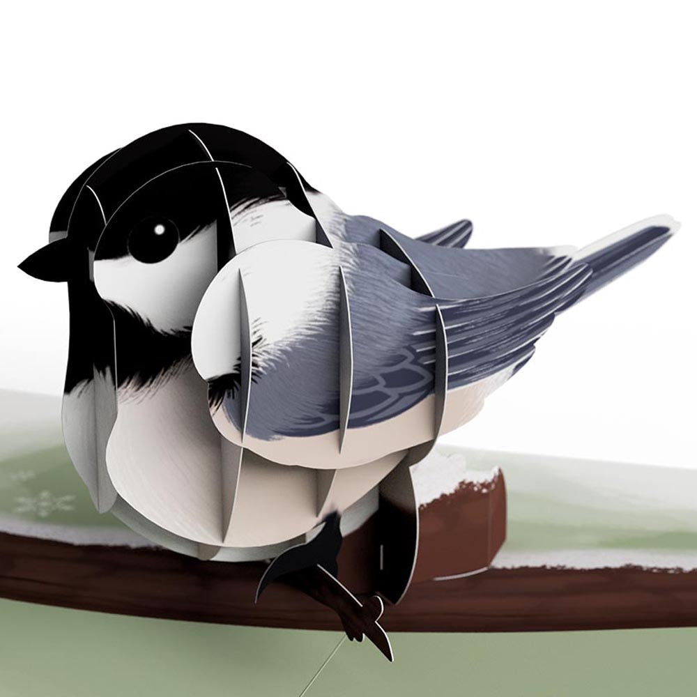 Winter Bird Box Set (Assorted 12-Pack): Paperpop® Card、mySite、solidvoid