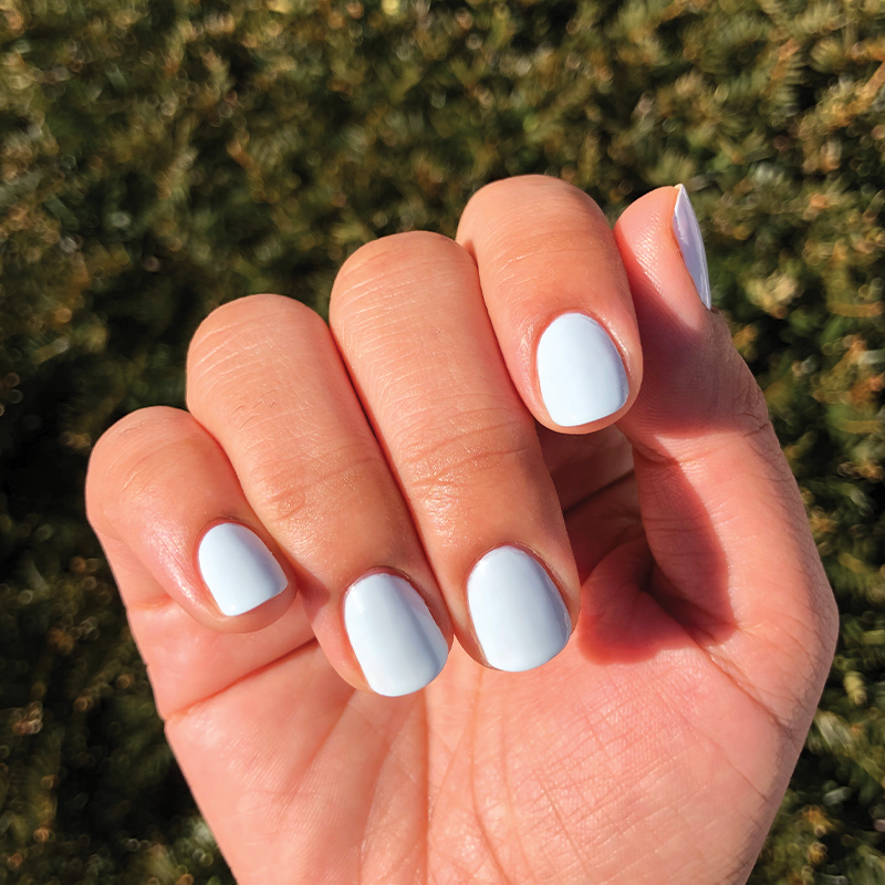 Angelfish、mySite、solidvoid