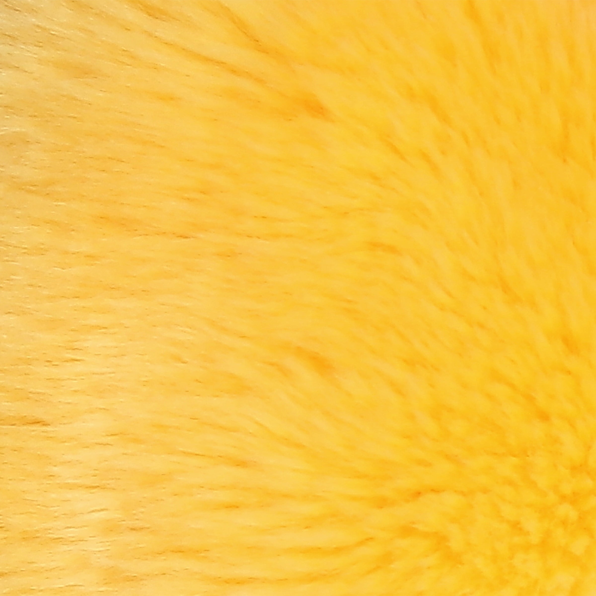 Aurora® - 9 Fungi Friends™、mySite、g9winljtr