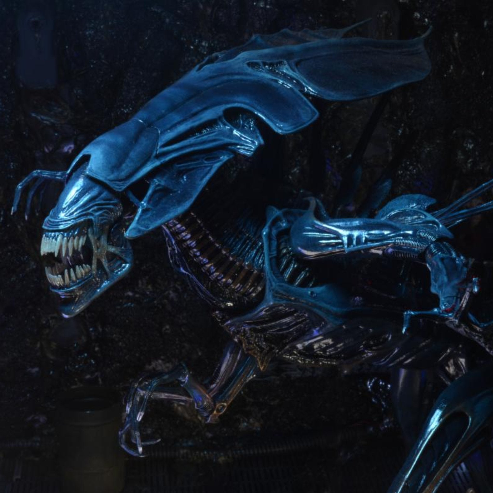 NECA Aliens Deluxe Ultra Alien Queen (Re-Issue)、mySite、hgirdovlk