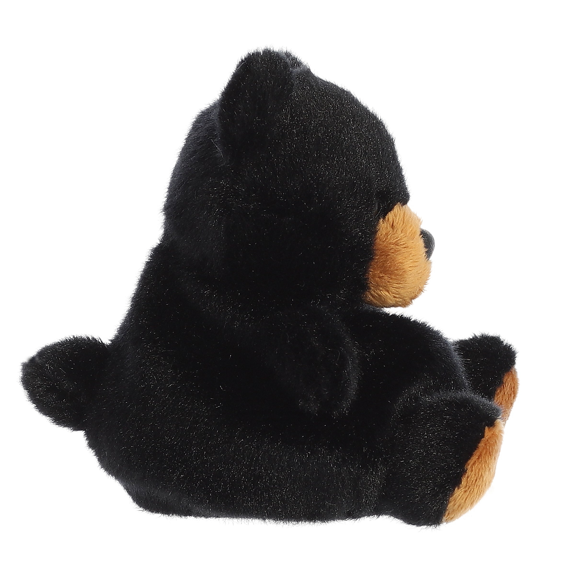 Aurora® - Palm Pals™ - 5 Sleepy Bear™、mySite、g9winljtr