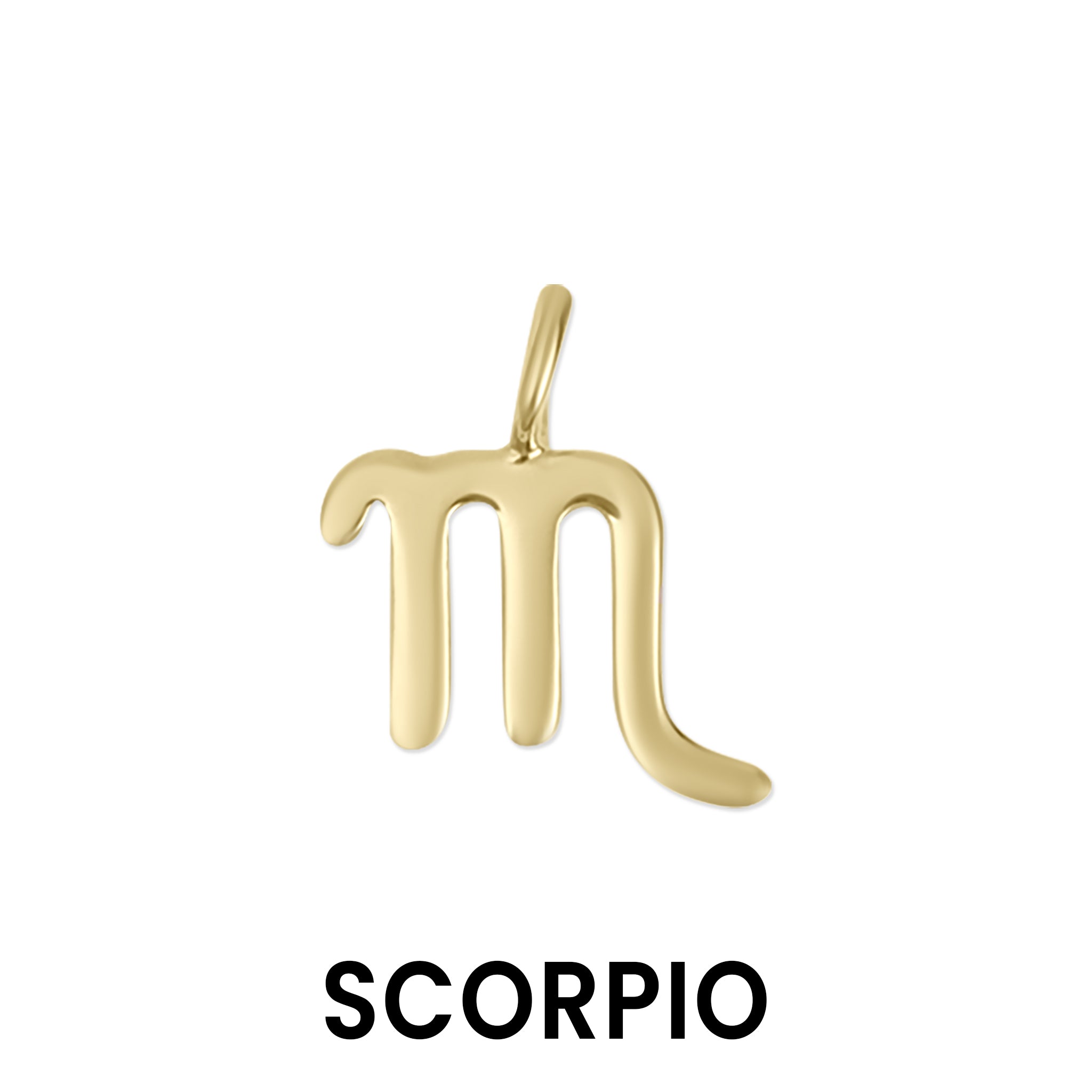 Permanent Jewelry 14K Solid Gold Zodiac Charms / PMJ1017、mySite、dreamappss