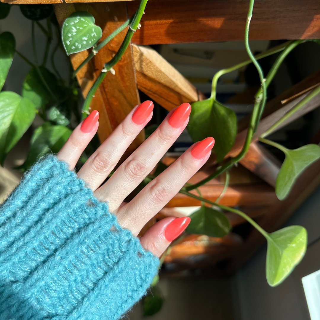 Coral Jelly - Press-On | Medium | Oval、mySite、solidvoid