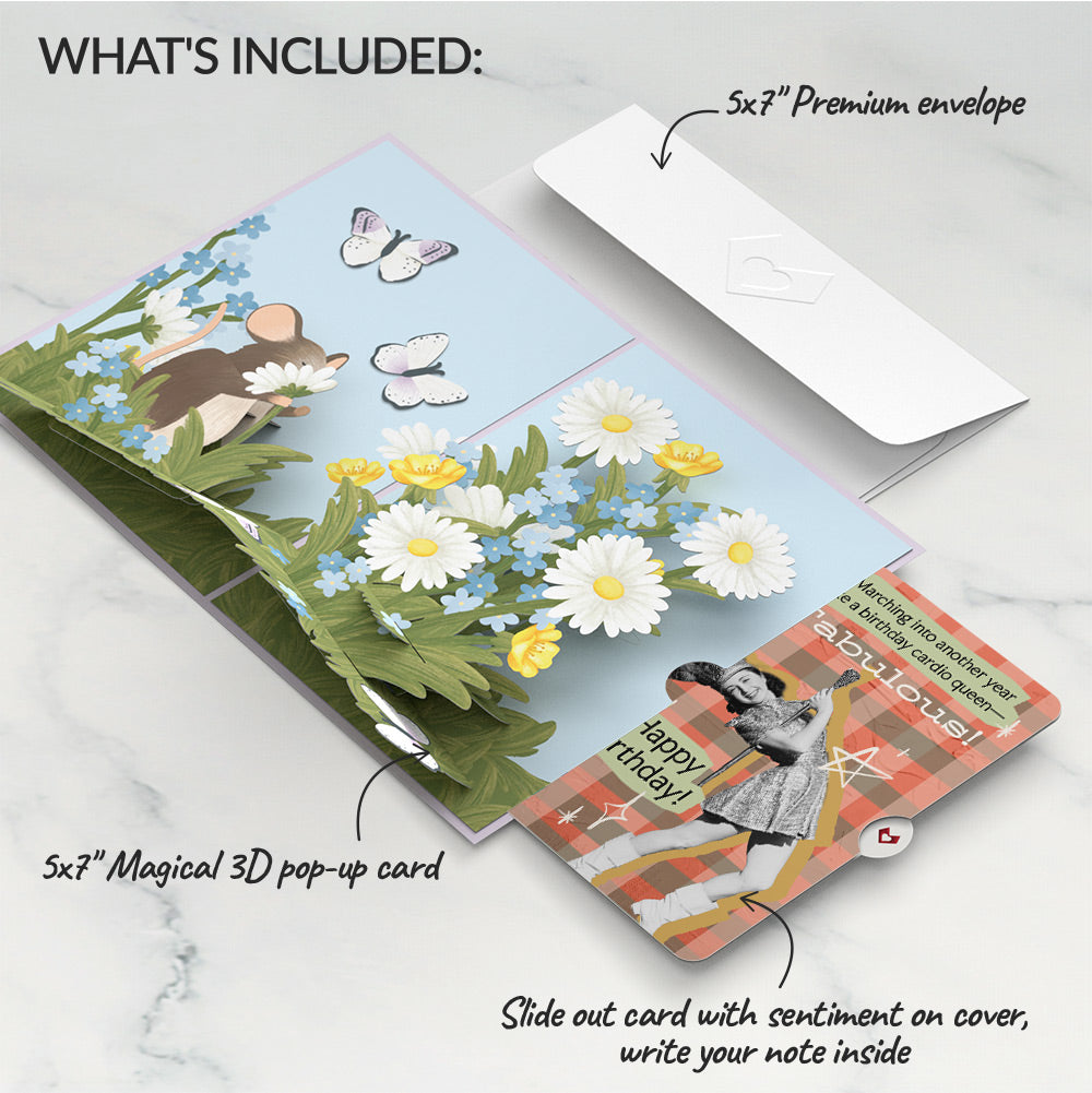Field Mouse in the Flowers Birthday Pop-Up Card and Cardio Queen Sentiment Set、mySite、solidvoid