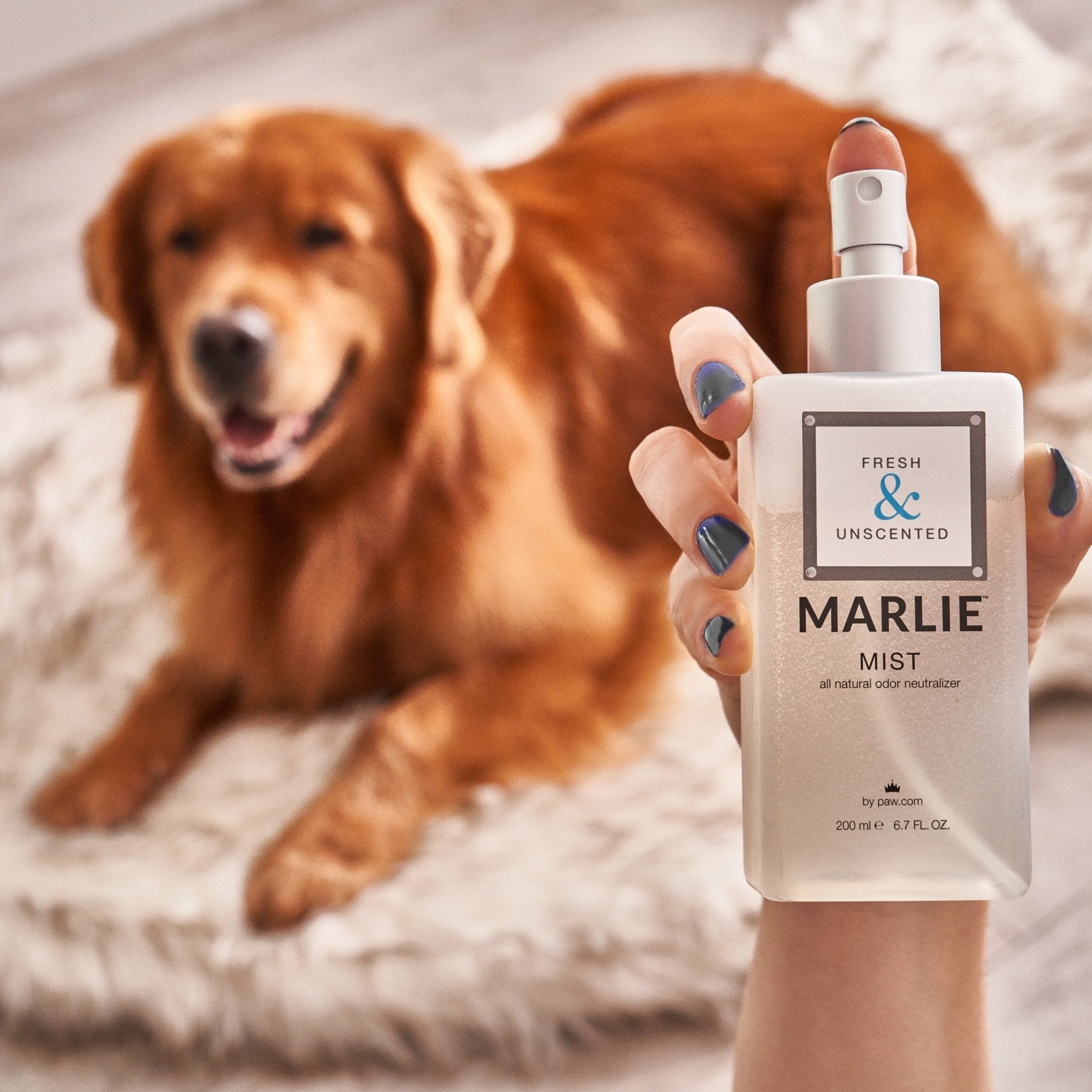 Marlie Mist Pet Odor Eliminator Spray with Essential Oils、mySite、solidvoid