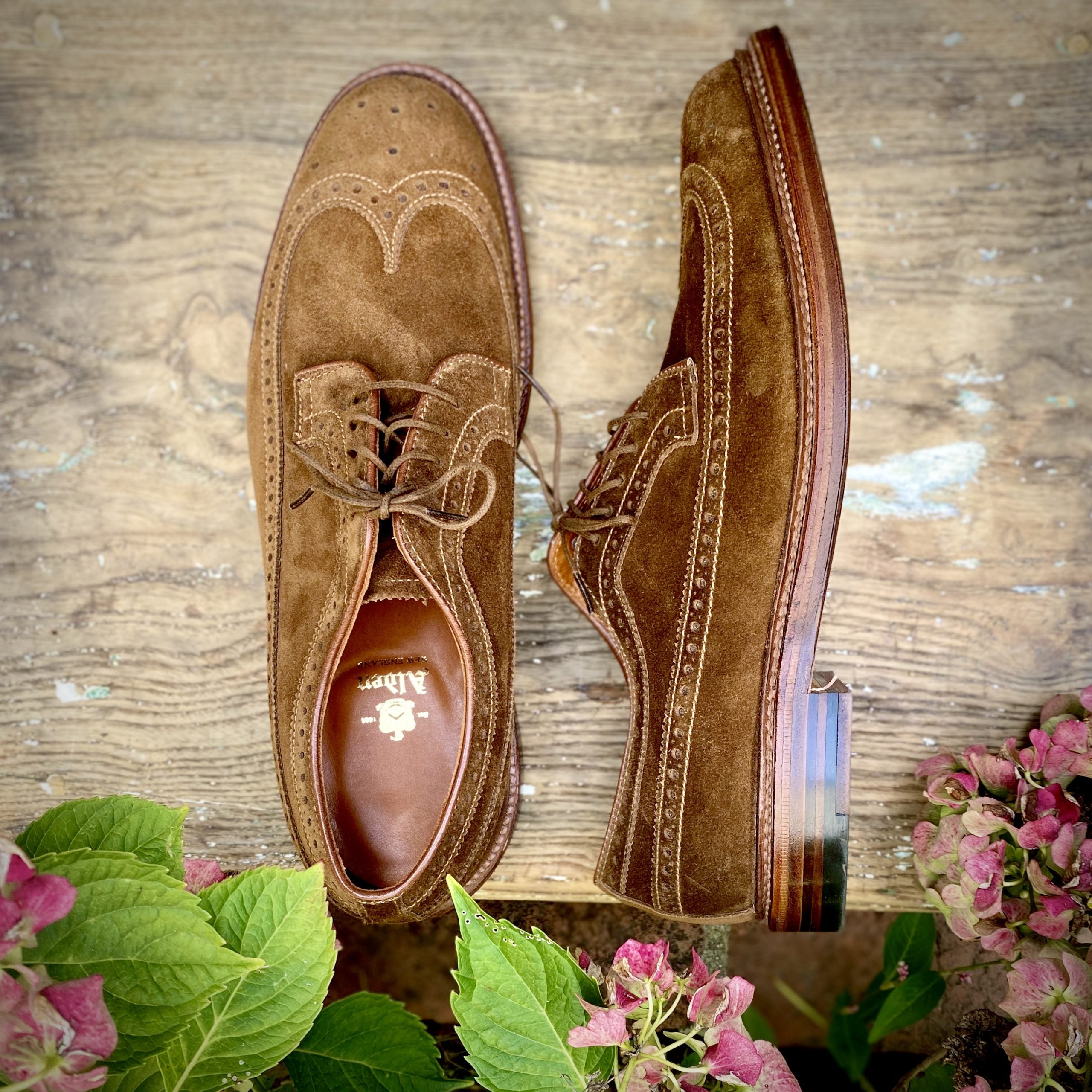  9794 - Long Wing Blucher in Snuff Suede、mySite、preschool7hills