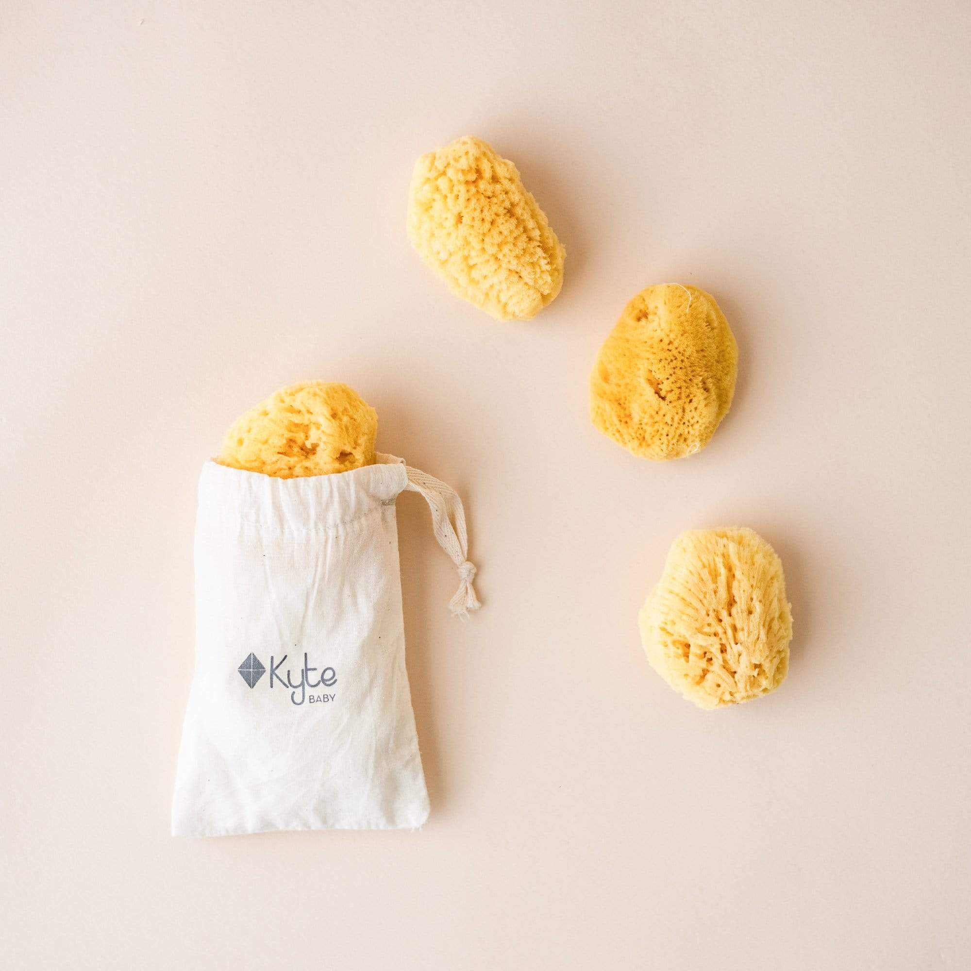  Face Sea Sponge - 4 Pack Bundle、mySite、layawaytickets