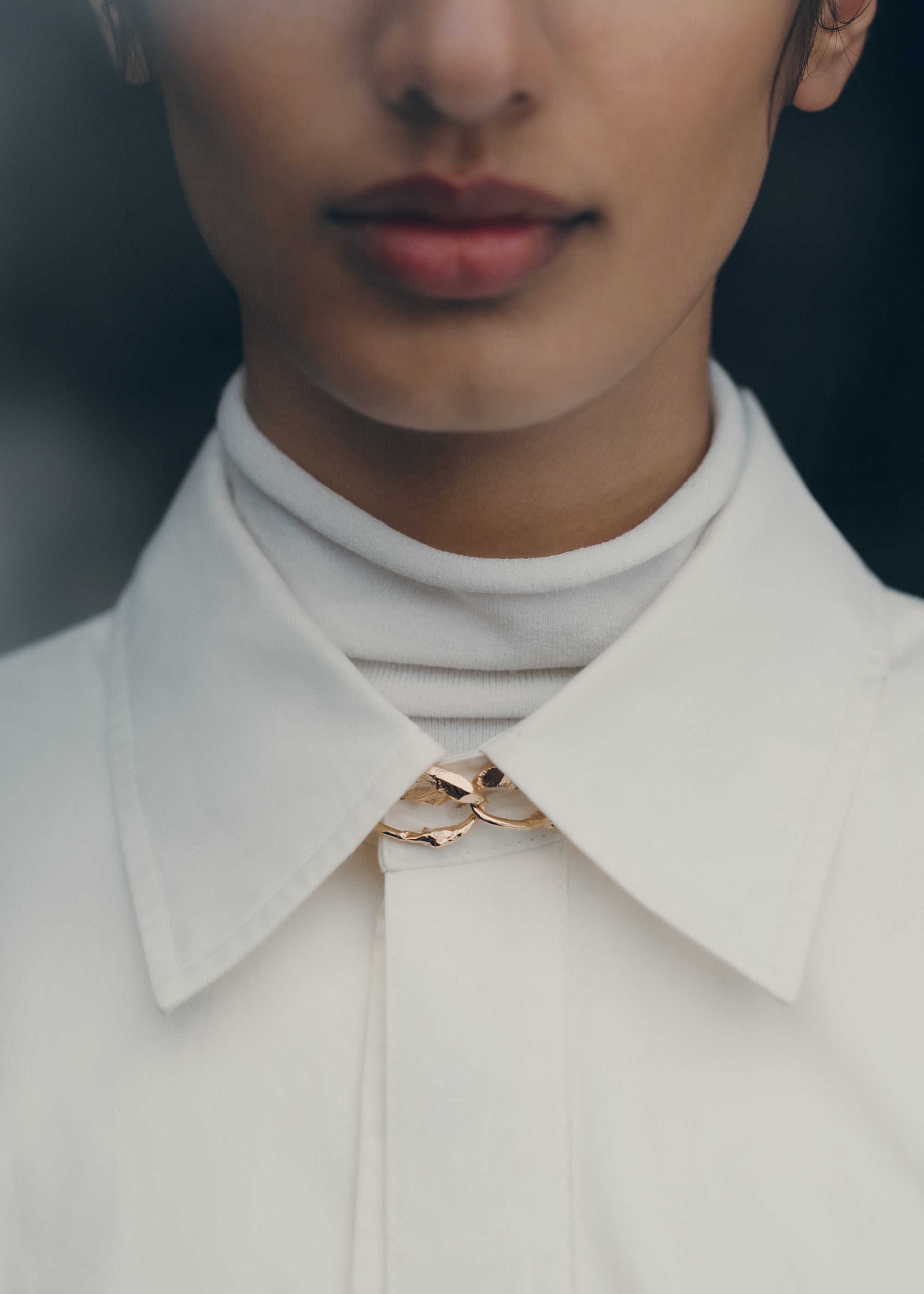 Chane Eroz - Dor茅e � l��or 24 carats、mySite、camillekostekn