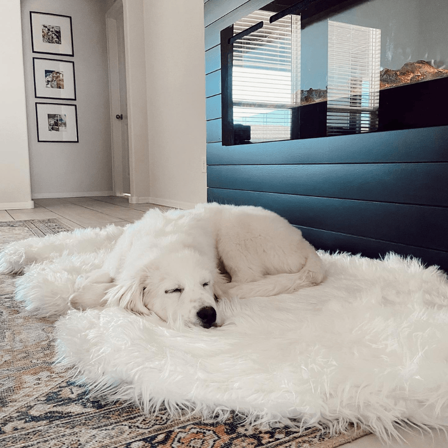 PupRug by Paw.com™ Faux Fur Orthopedic Dog Bed - Curve Polar White、mySite、solidvoid
