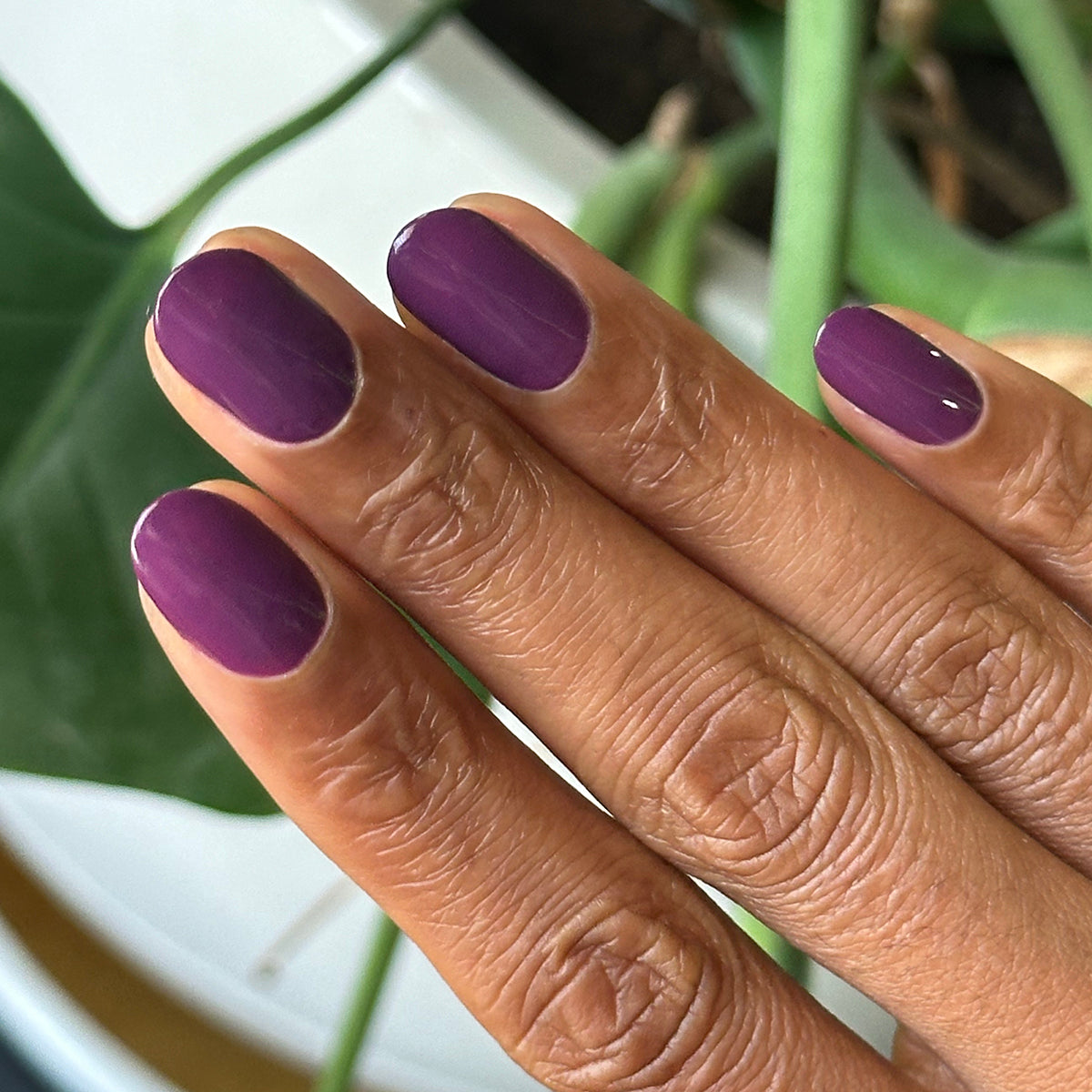 Who Likes Raisins?、mySite、solidvoid