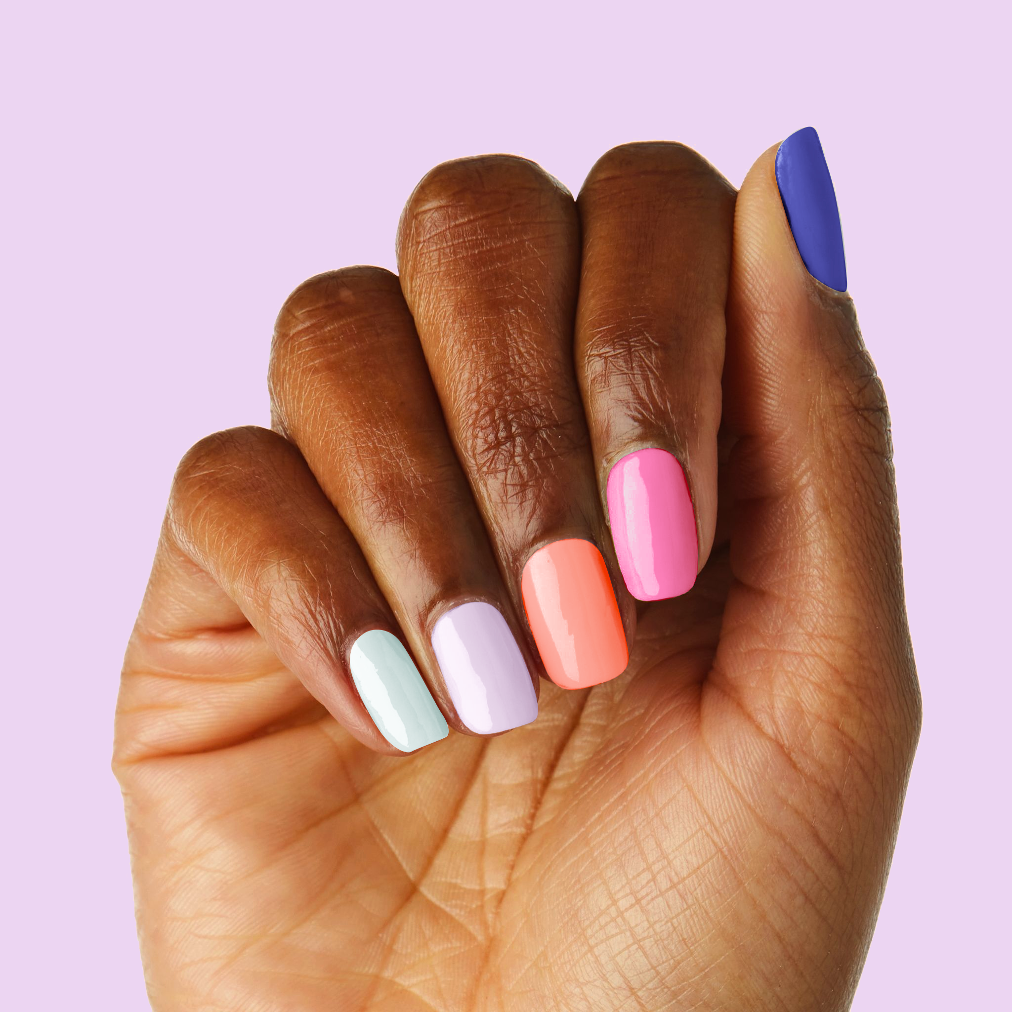 Gelato Shop、mySite、solidvoid