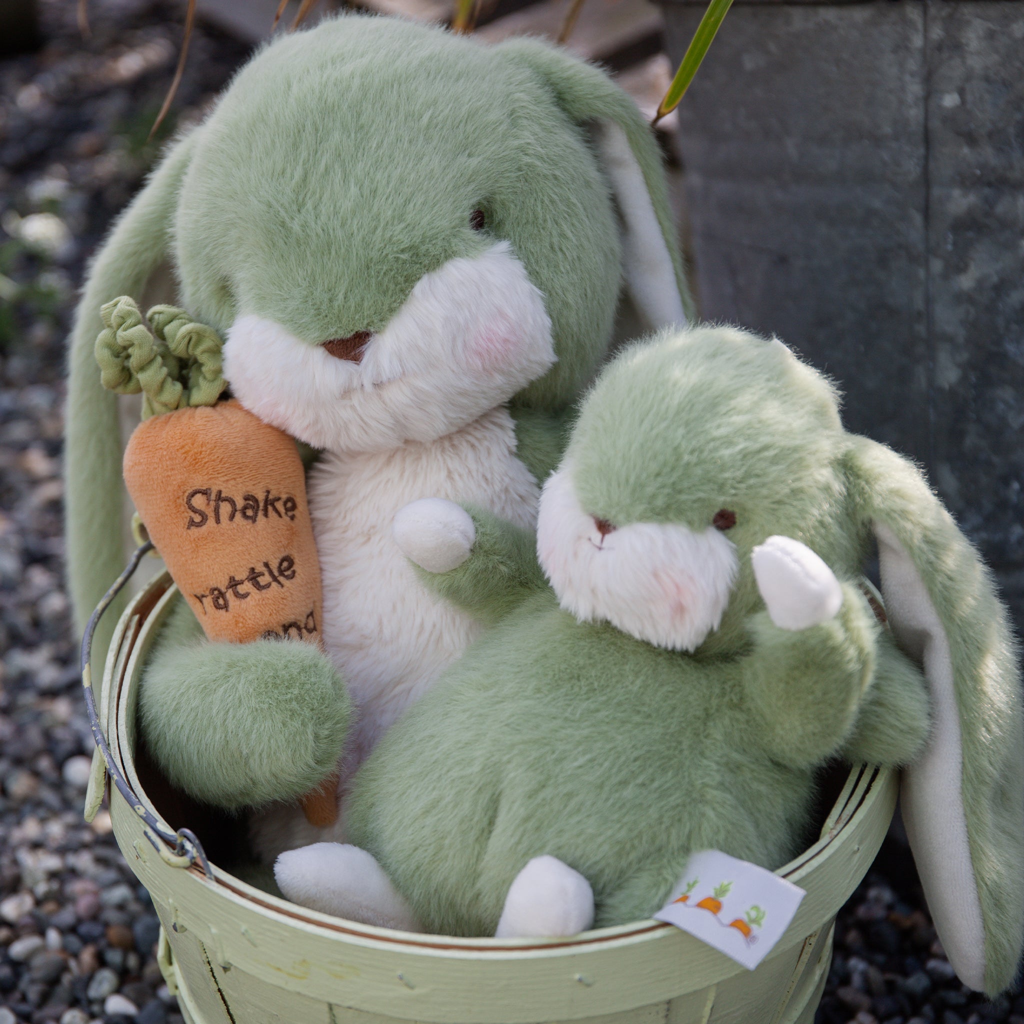 Sweet 16 Floppy Nibble Bunny �� Pistachio、mySite、g9winljtr