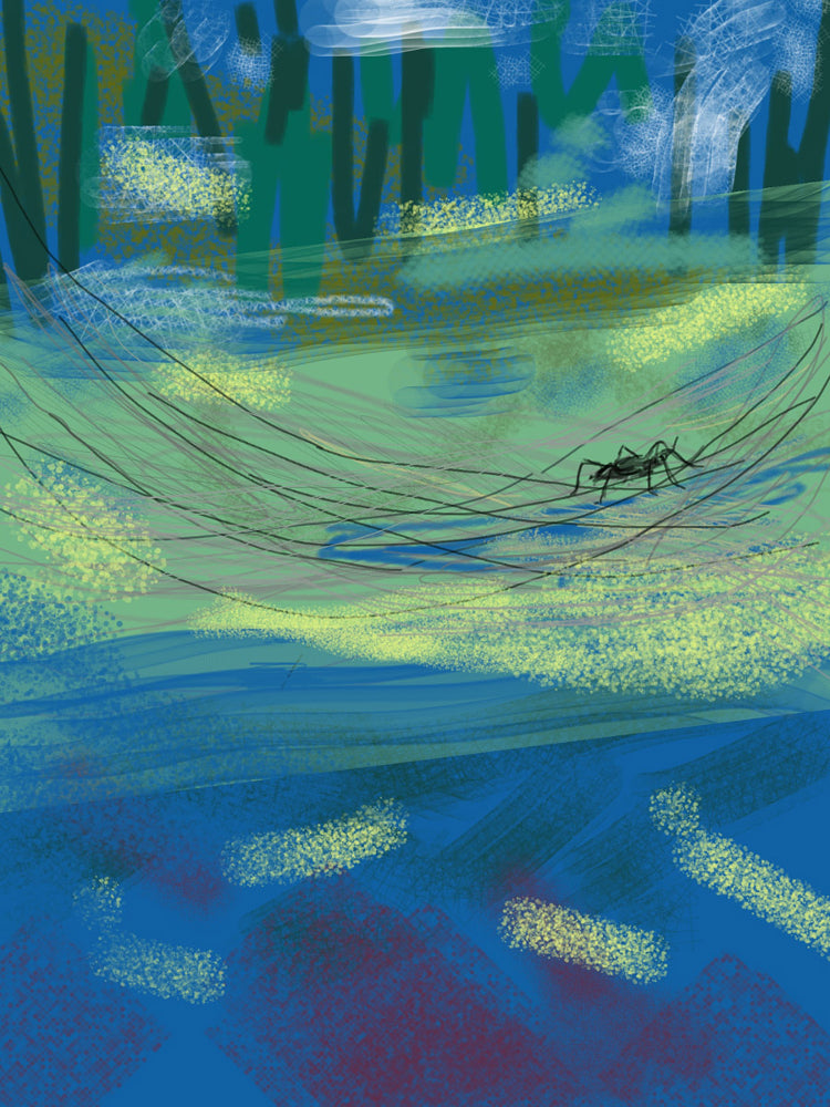 Original Artwork Cards、mySite、topwebapps