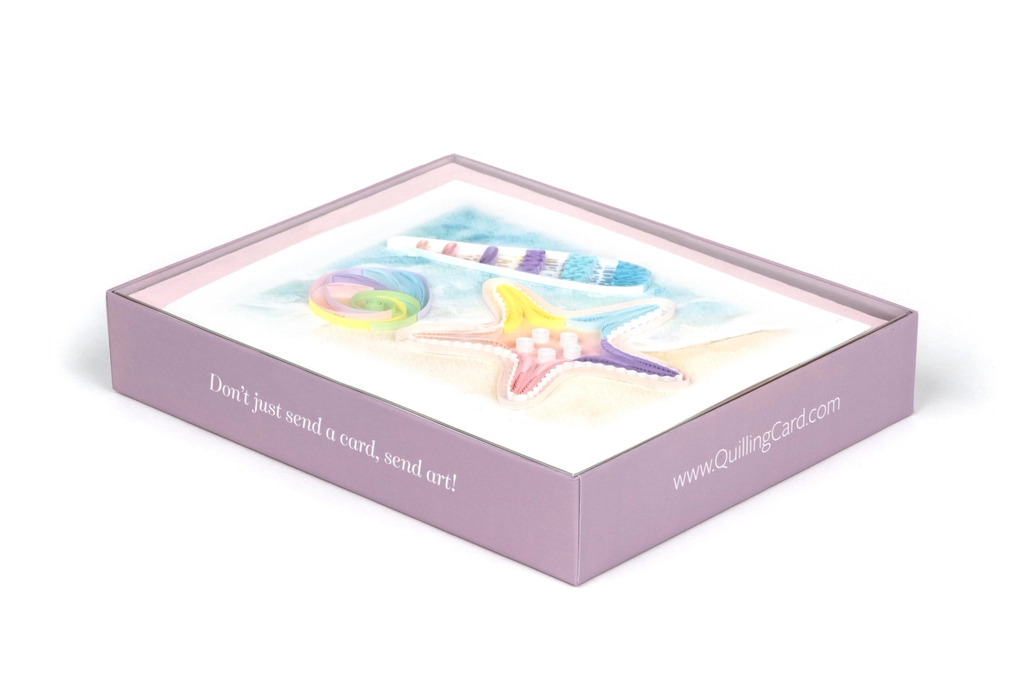  Seashell Box Set、mySite、elrpsem3k