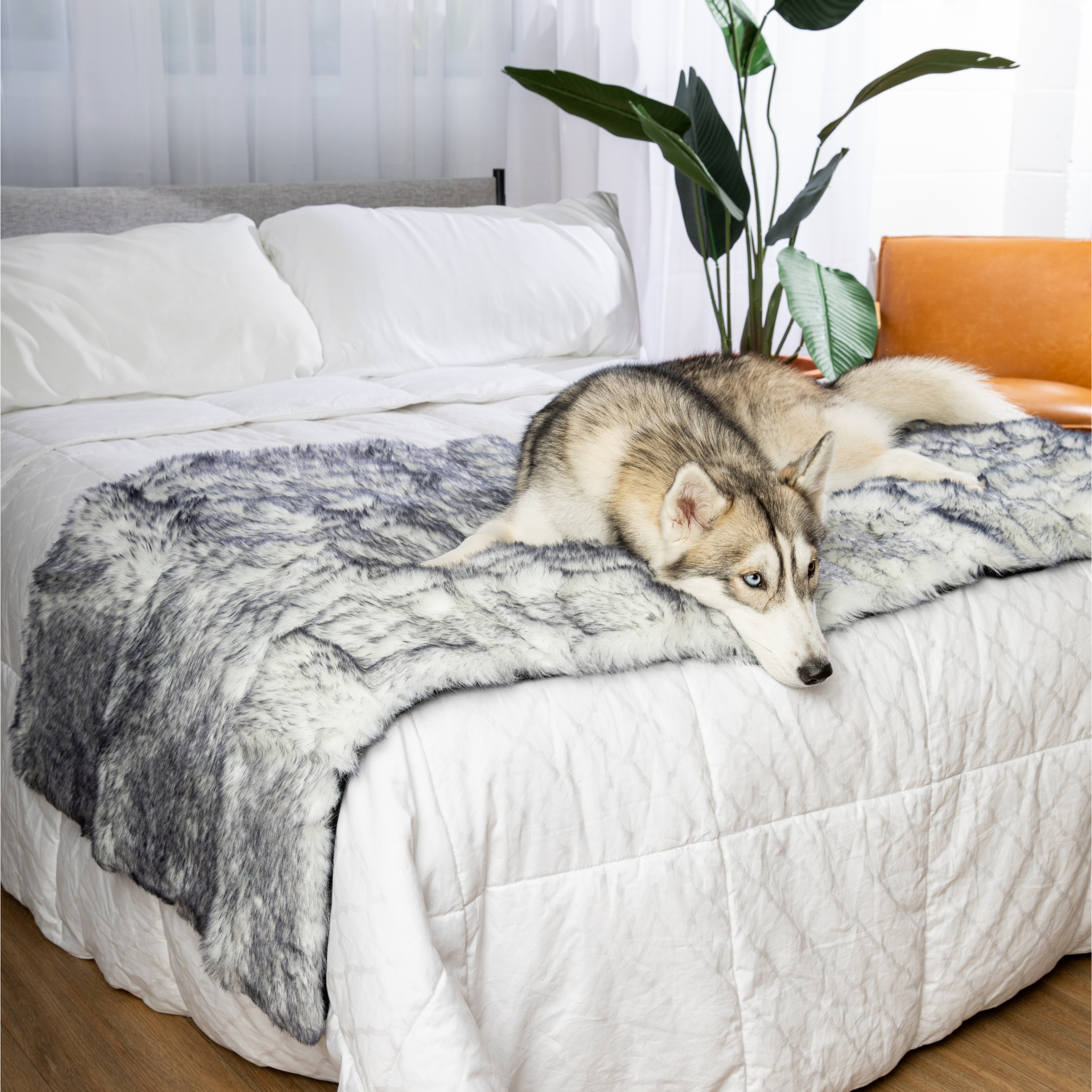 PupProtector™ Luxe Waterproof Bed Runner - Ultra Plush Arctic Fox、mySite、solidvoid