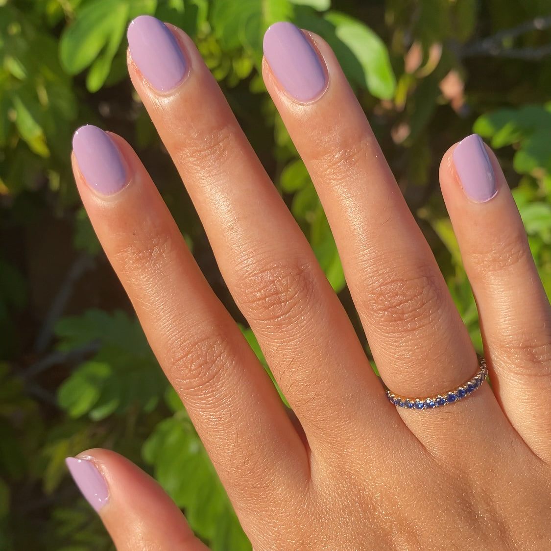 Prairie、mySite、solidvoid