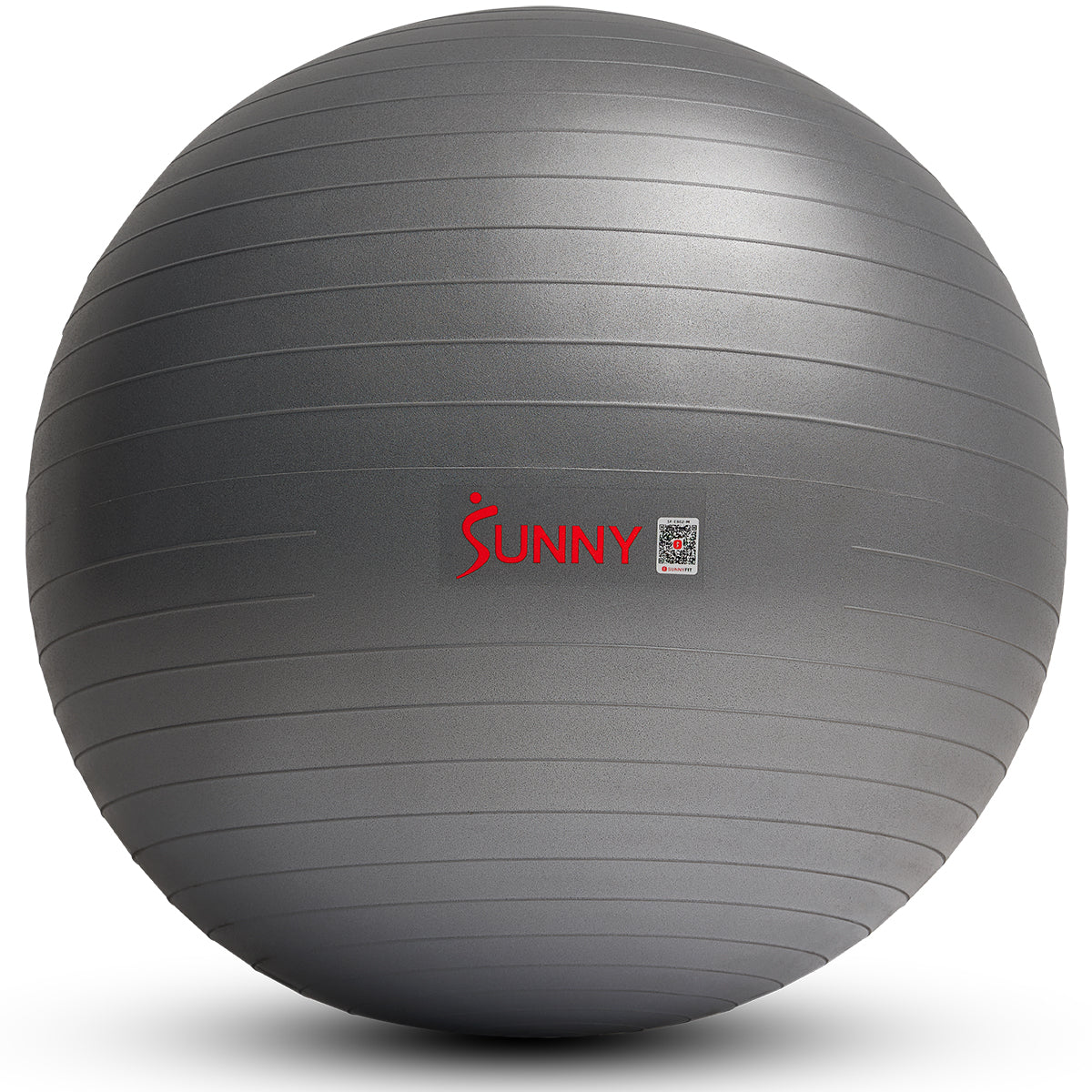  Premium Yoga Ball Medium - 65 cm、mySite、ghnorth