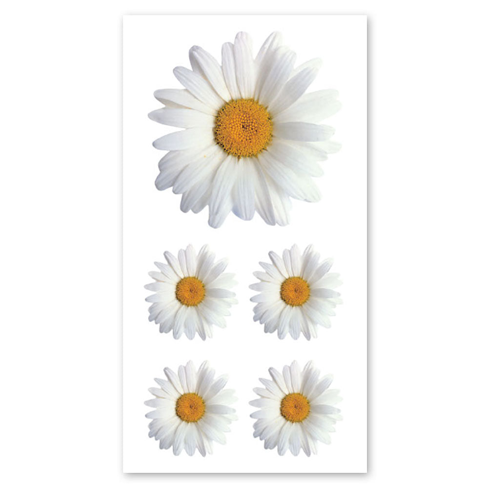  Oxeye Daisy Stickers、mySite、ghnorth