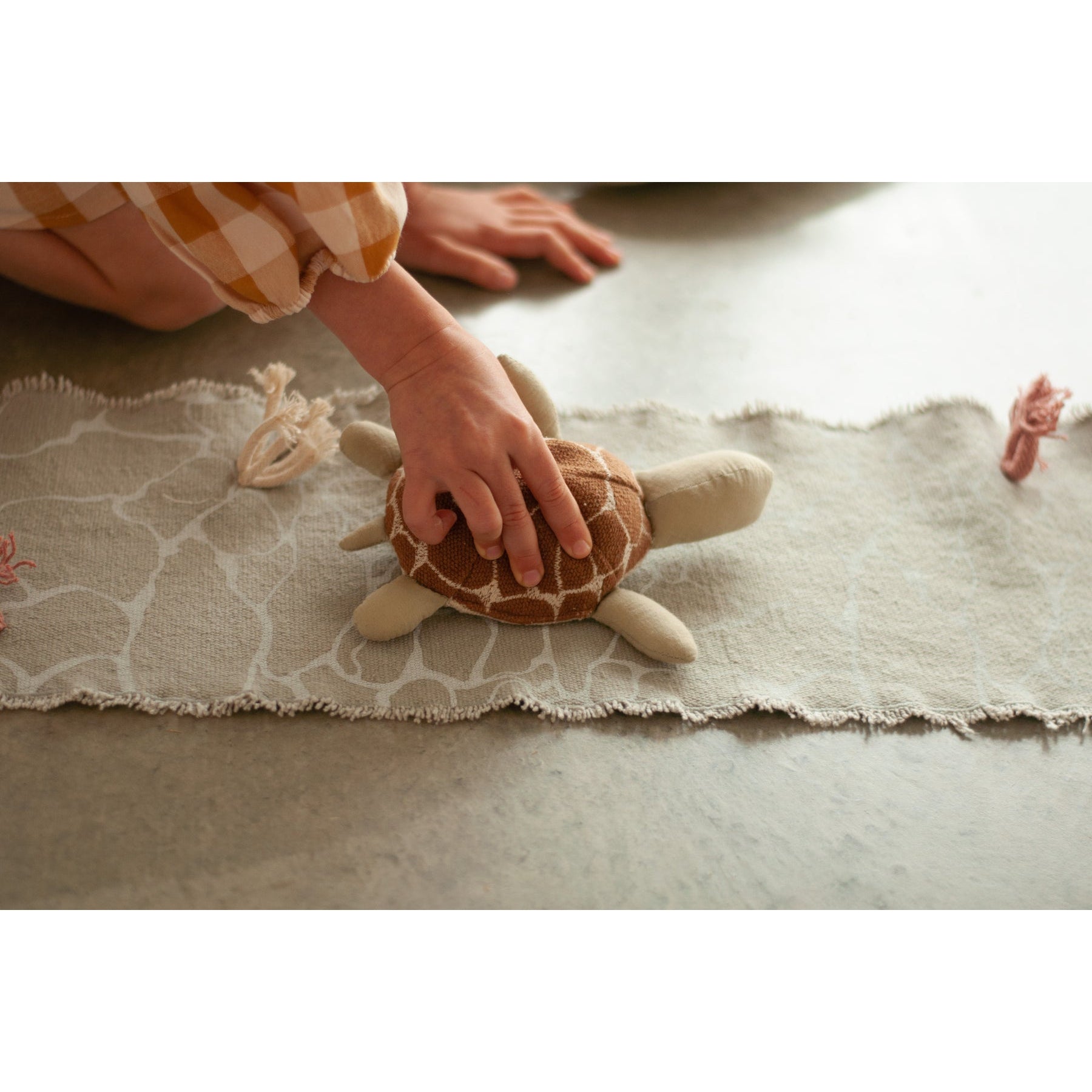 Sea Wonders Ride & Roll Under the Sea、mySite、gigharbornorthrealestate