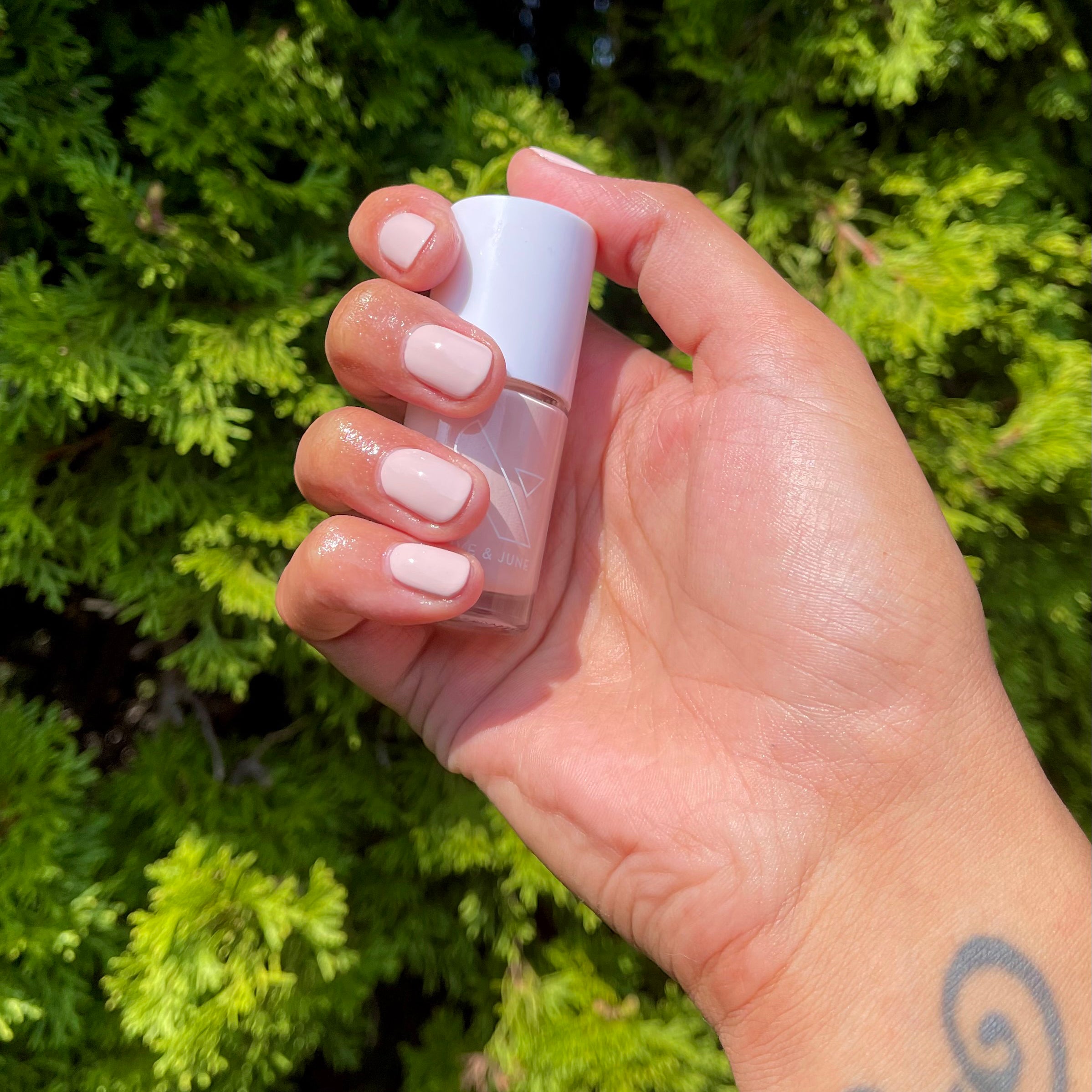 Point Dume、mySite、solidvoid