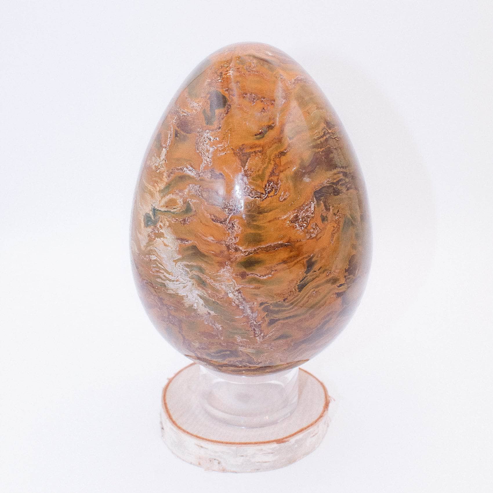 Petrified Wood Egg - AAA Premium Quality、mySite、hinf8tx79