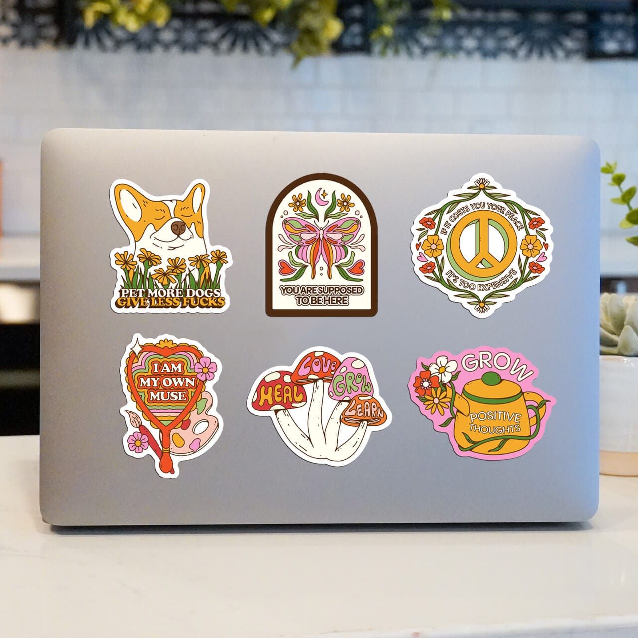  Retro Positivity 6 Pack、mySite、ghnorth