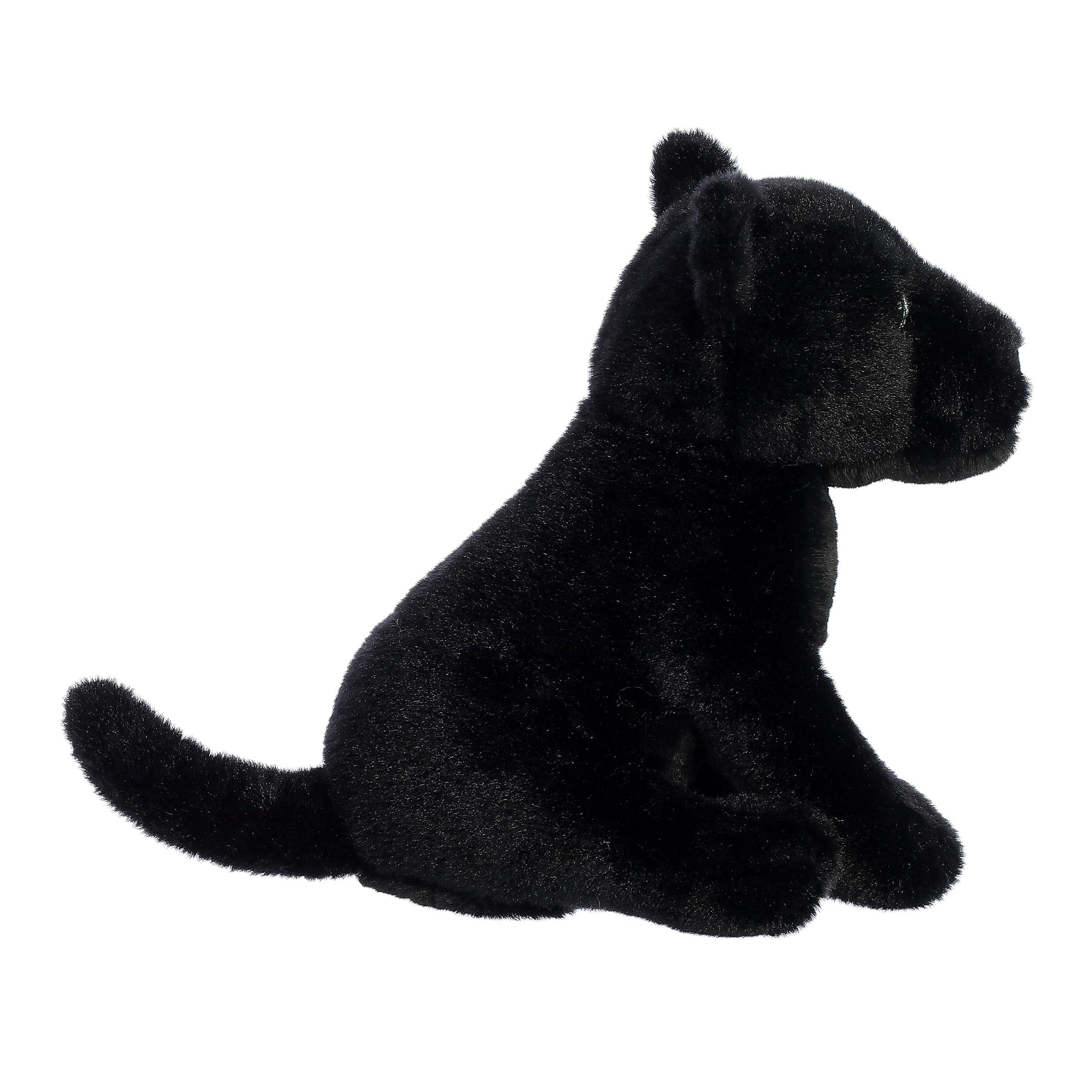 Aurora® - Eco Nation™ - 9 Panther、mySite、g9winljtr