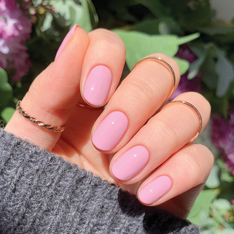 Cockatoo、mySite、solidvoid