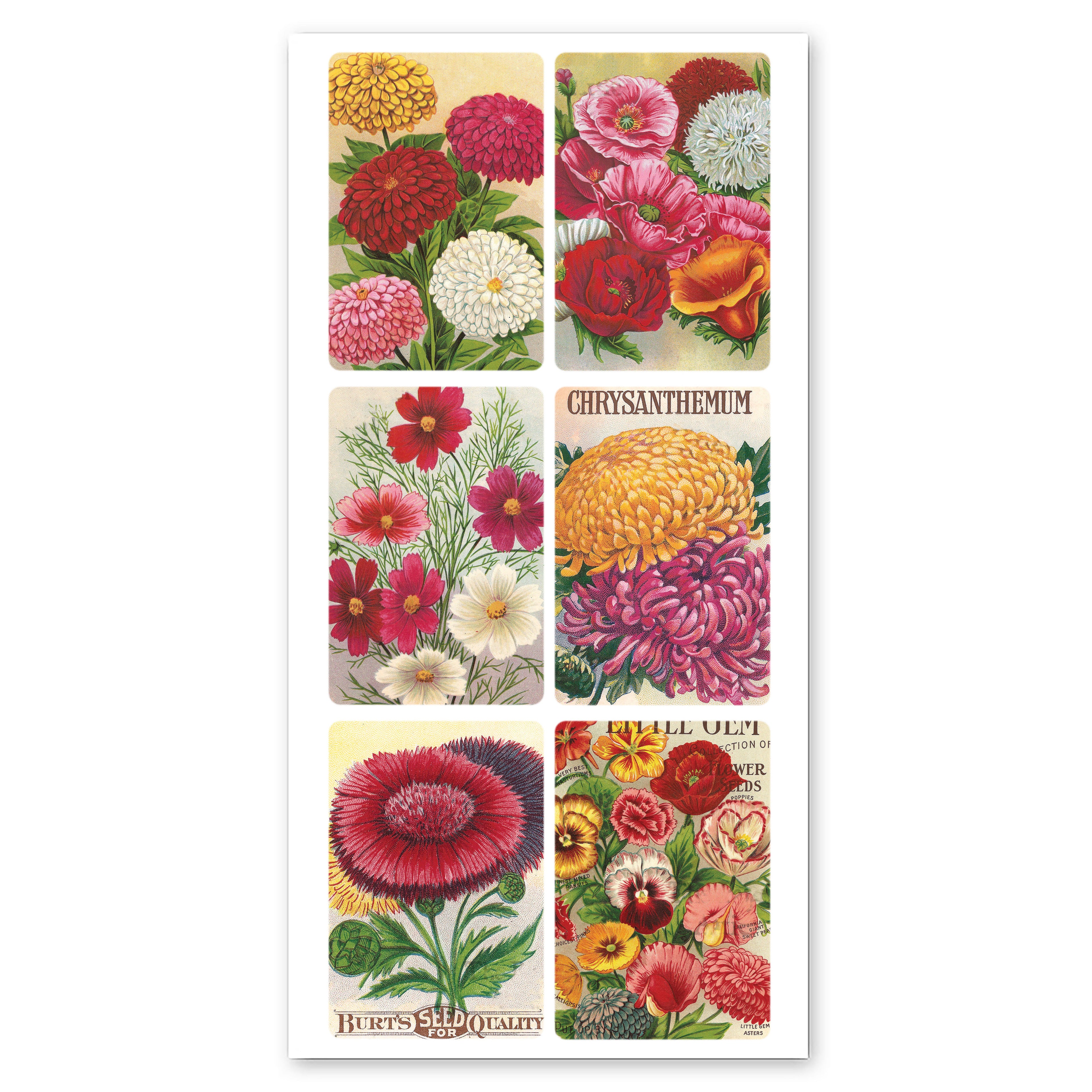  Claire's Stickers、mySite、ghnorth