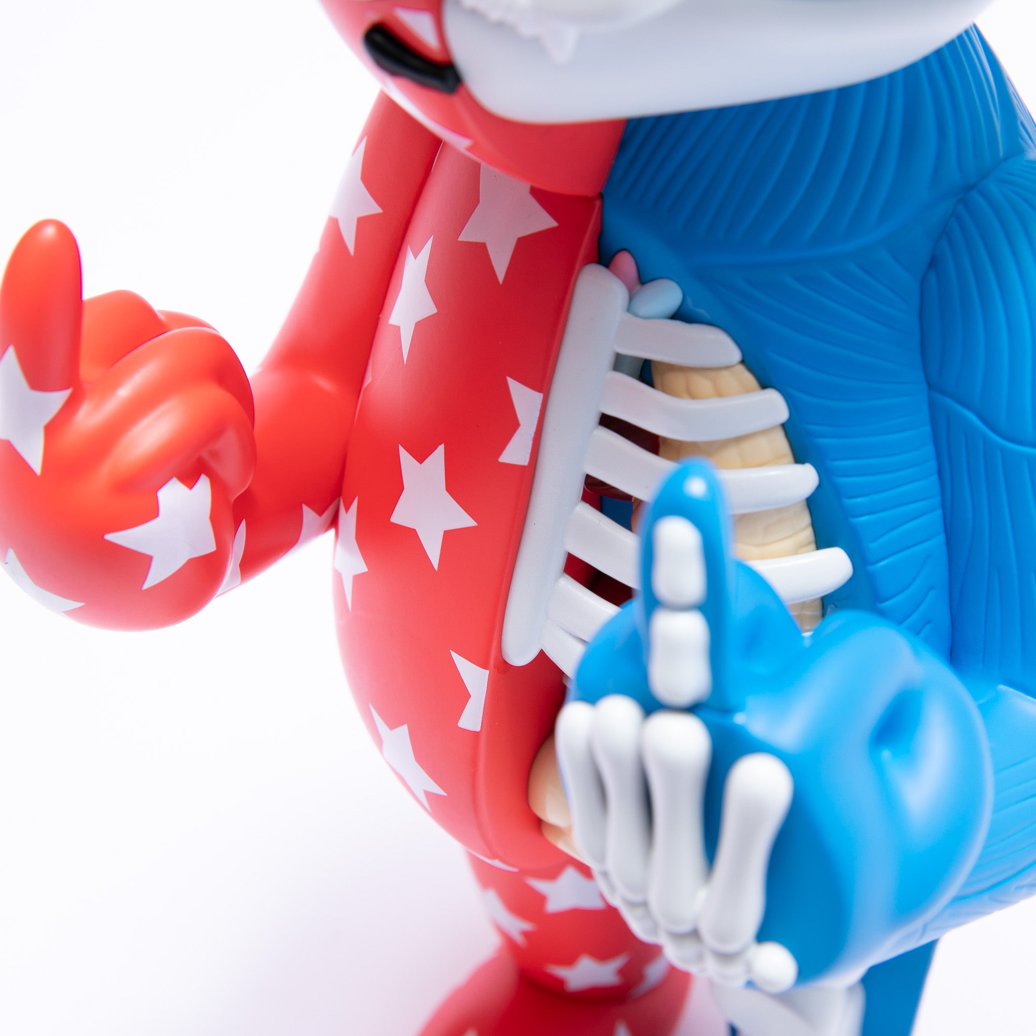  Freedom Nerm Anatomy Vinyl Figure、mySite、merchandisen