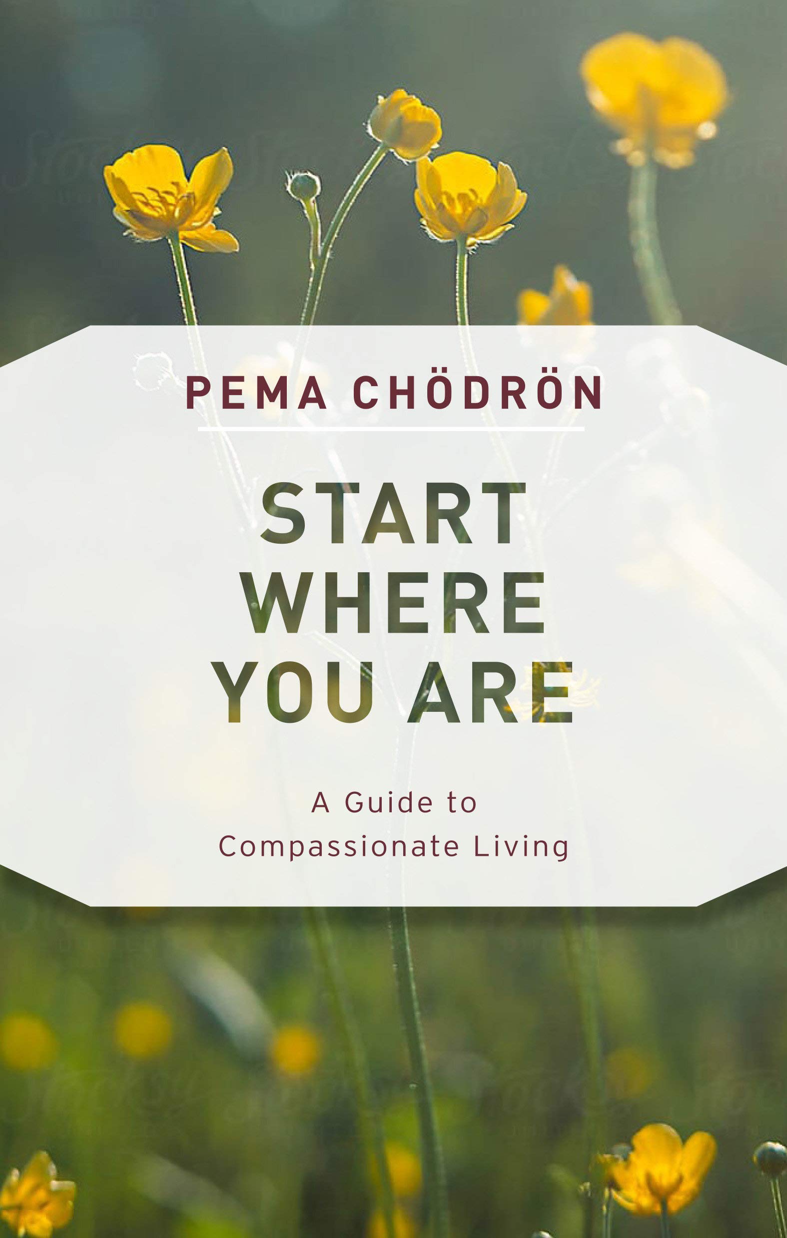 Start Where You Are: A Guide to Compassionate Living、mySite、topwebapps