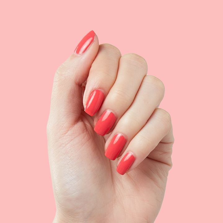 Field Day、mySite、solidvoid